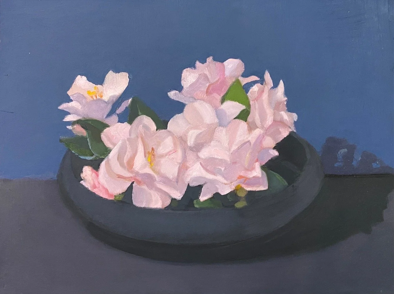 Pink on Blue and Black (Camellias)
