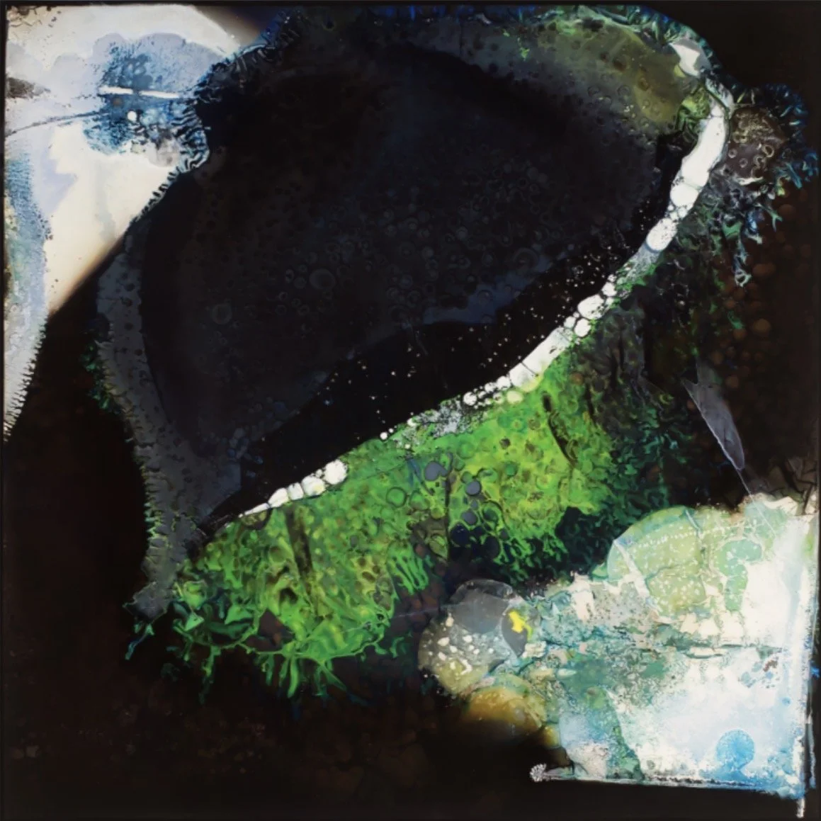 Under The Sea by Mathew Schiavello