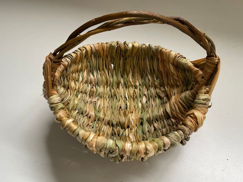 From the Garden By Catriona Clare Milne