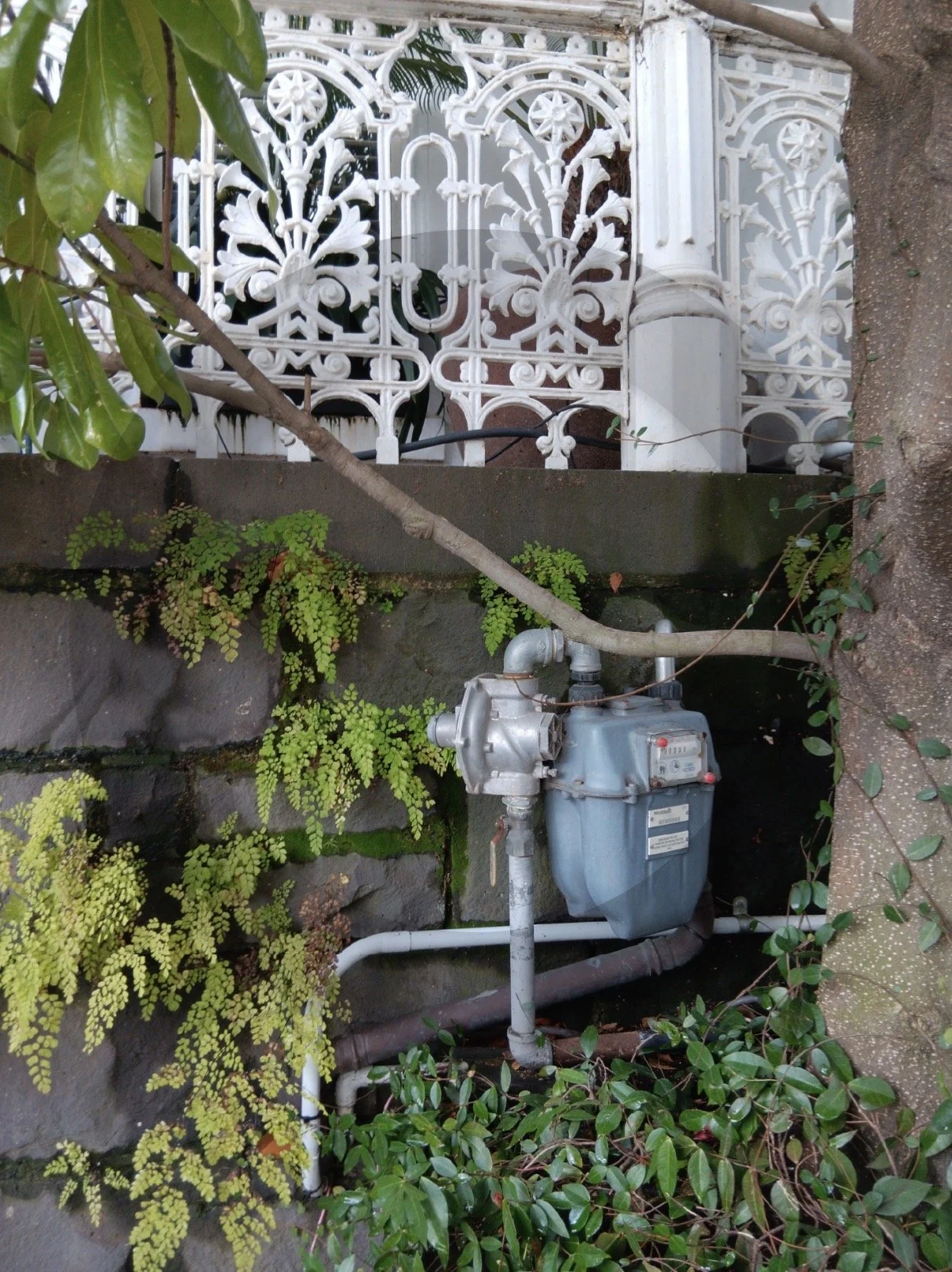 Iron Lace and Bluestone