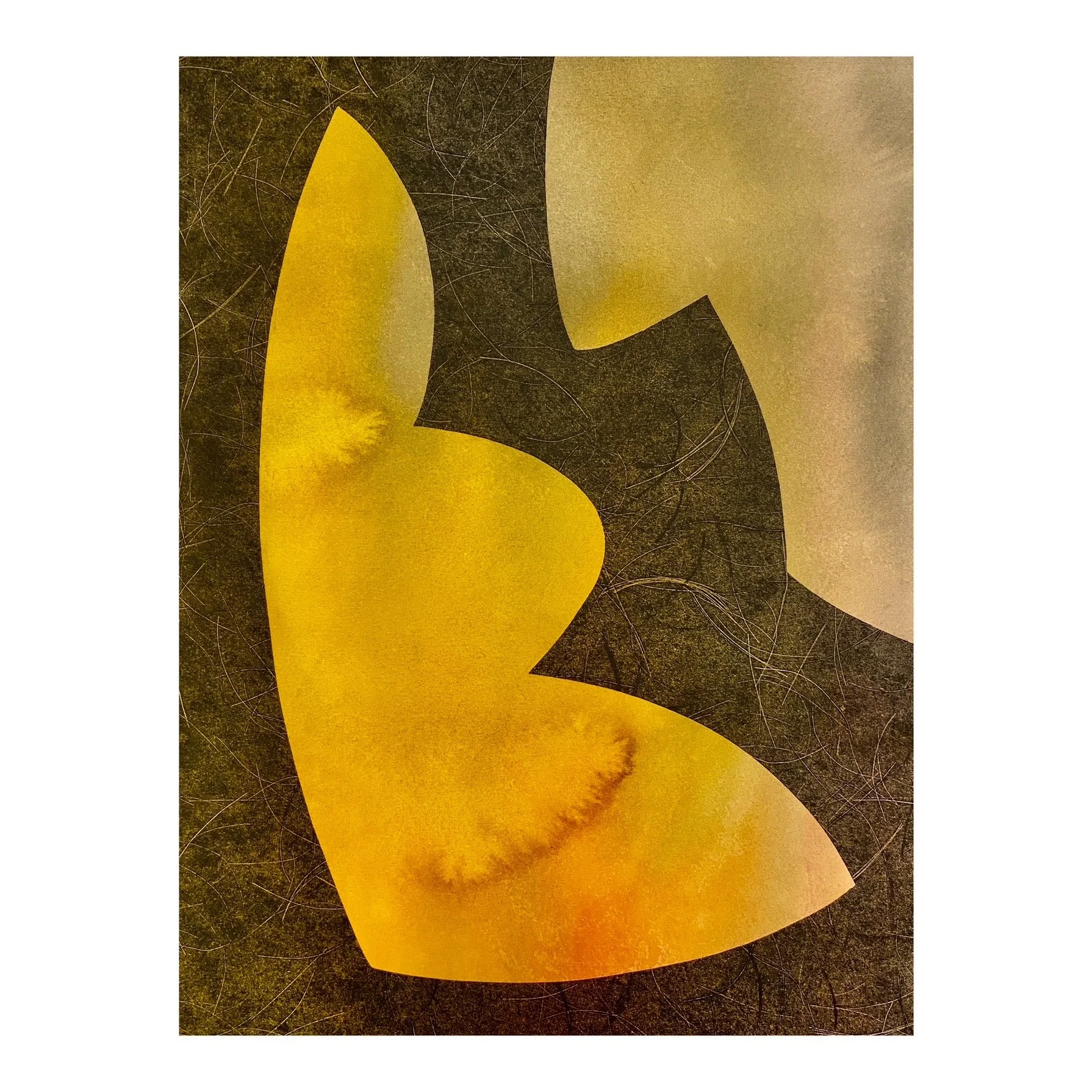 SIGNS OF LIFE,  Series 2 no.8