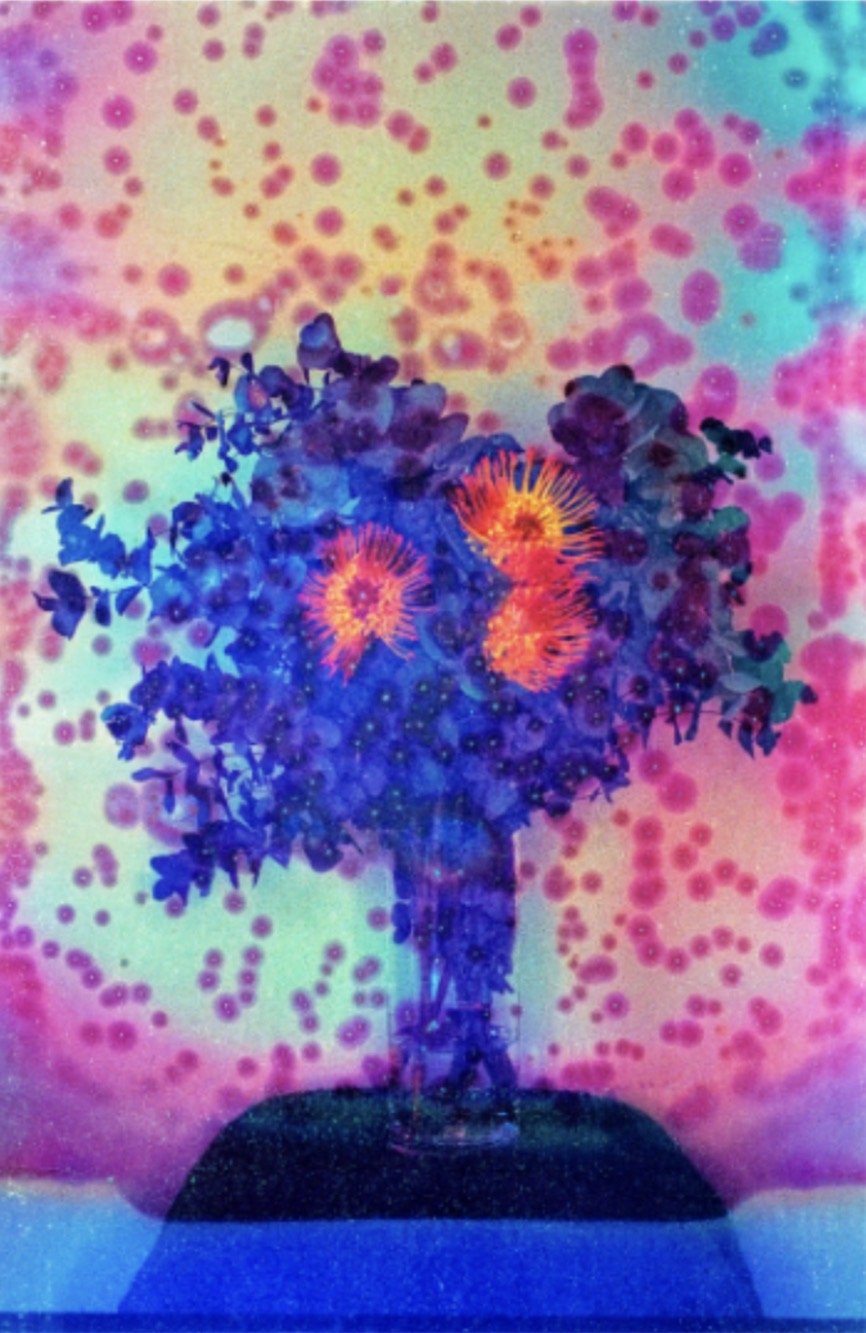 After Valentines day #61 2024. By Mathew Schiavello