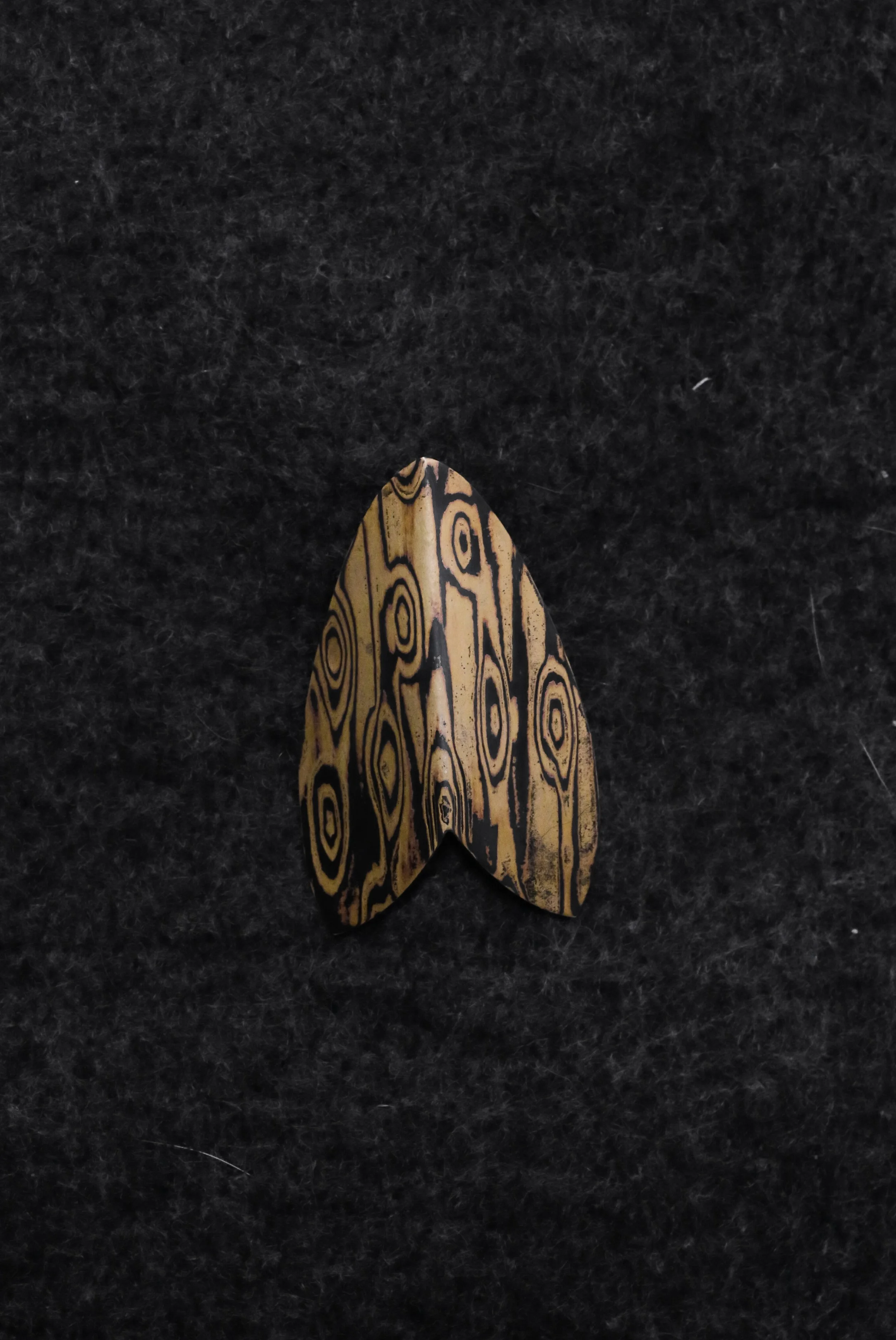 Moth Brooch 6 Jasper Goldney