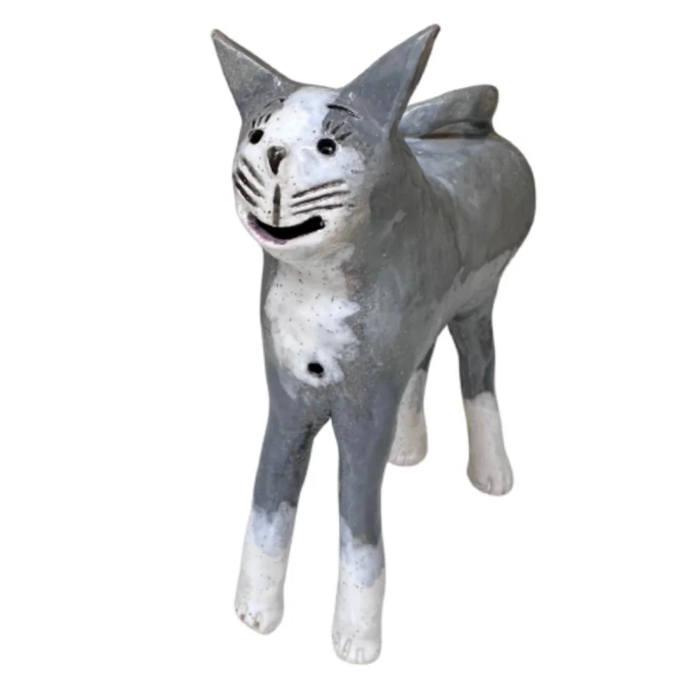 The Cat Next Door