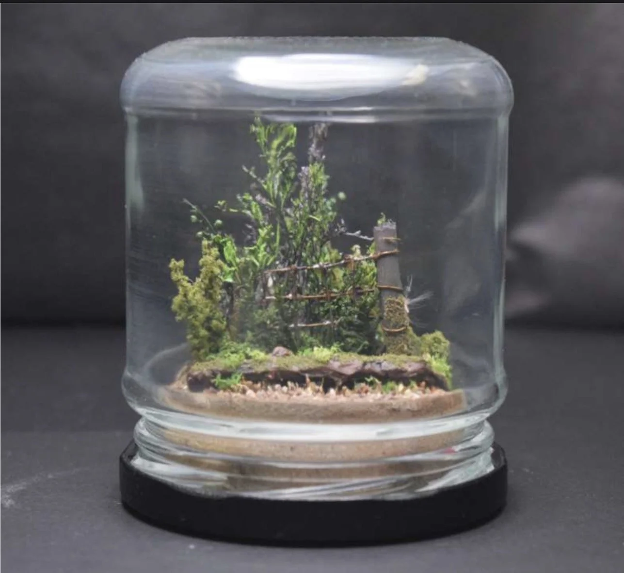 Moss