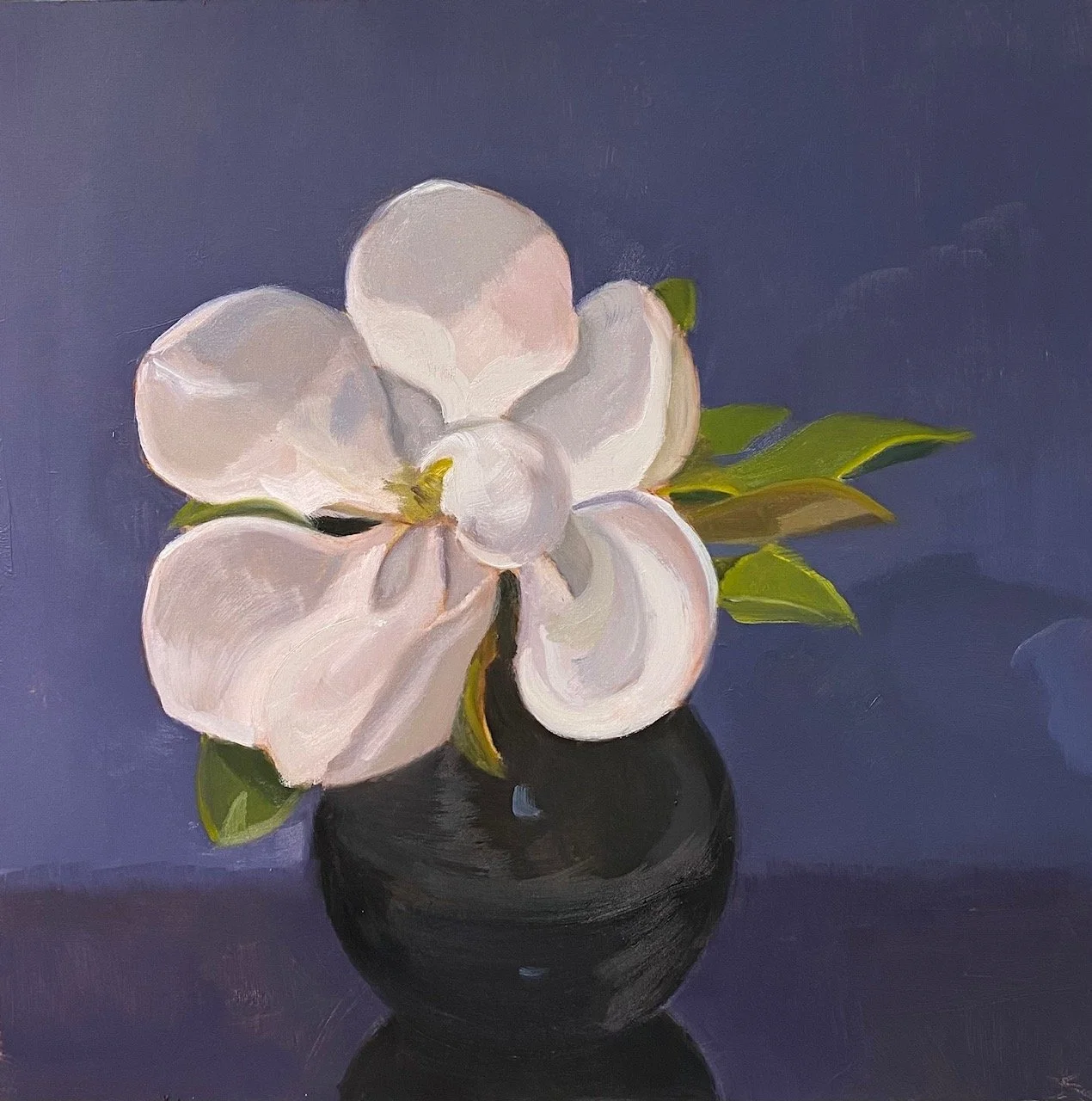 Magnolia Grandeflora