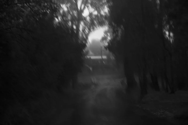 IMG_5426.jpeg