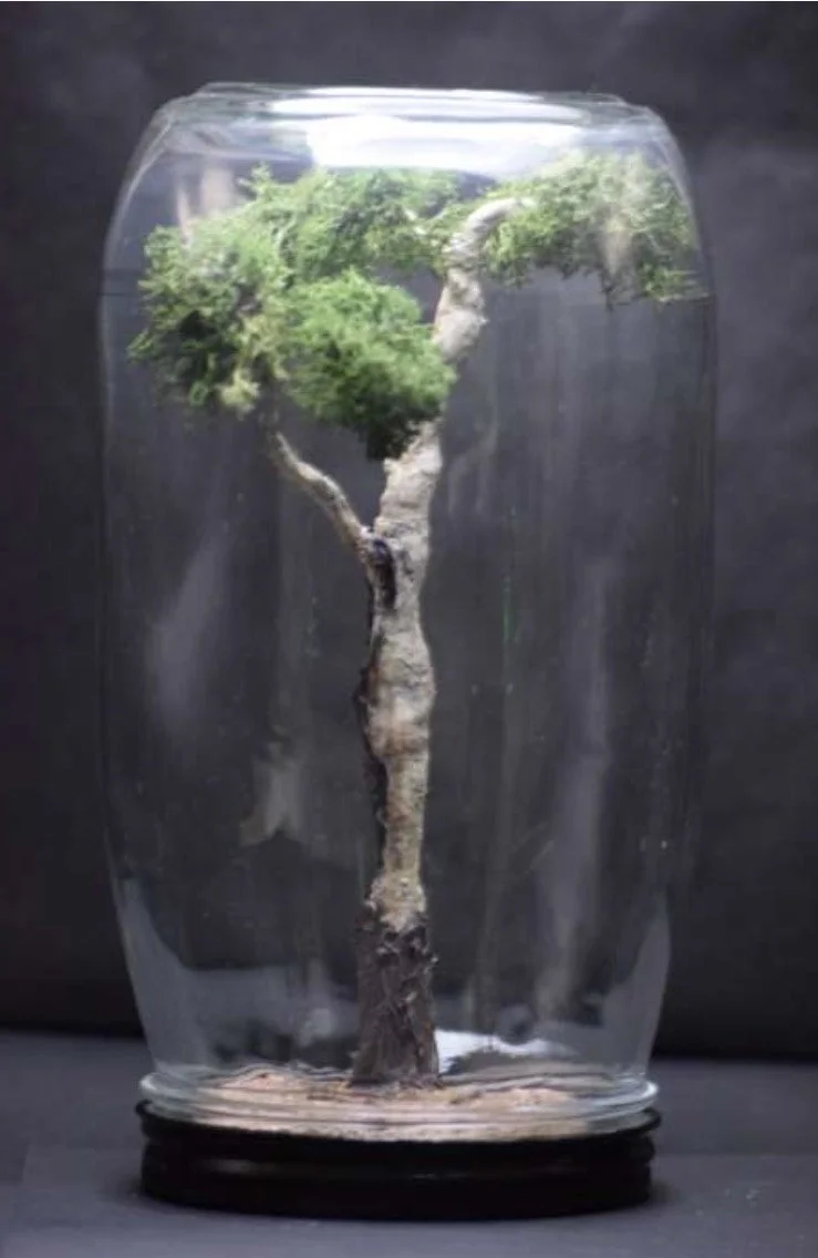 The Giant