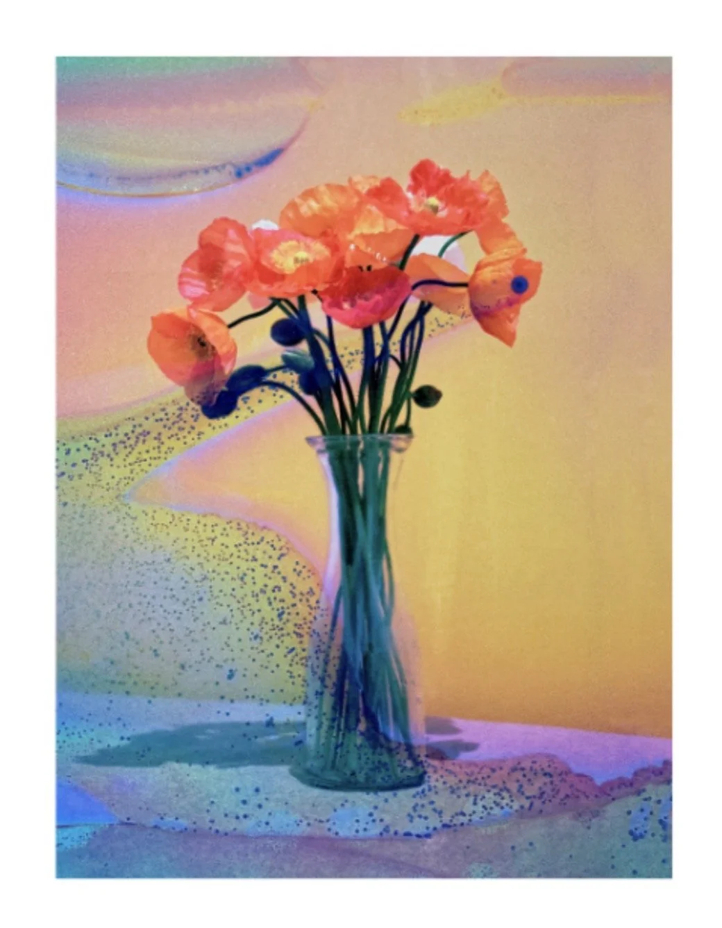 Flora #32, Feb 2026 by Mathew Schiavello