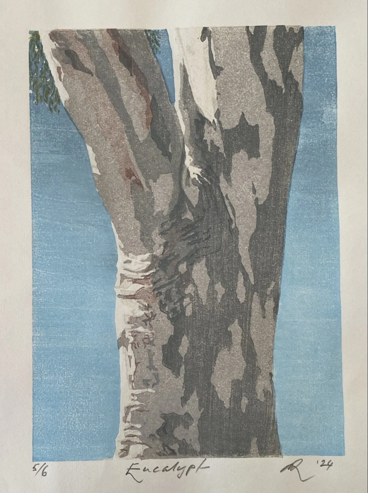 Eucalypt By Neil Salvado