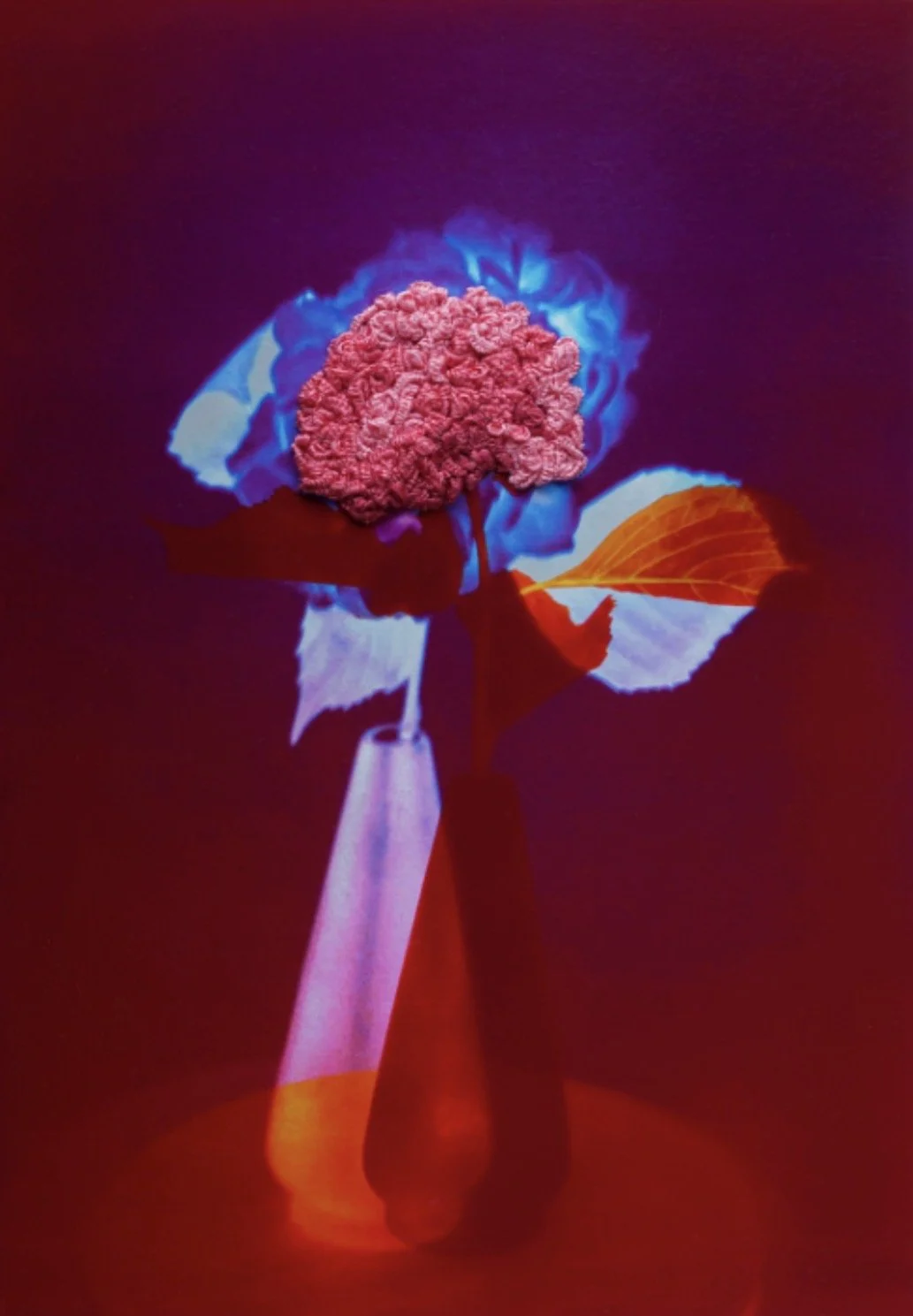 Mothers’ Gift by Matthew Schiavello