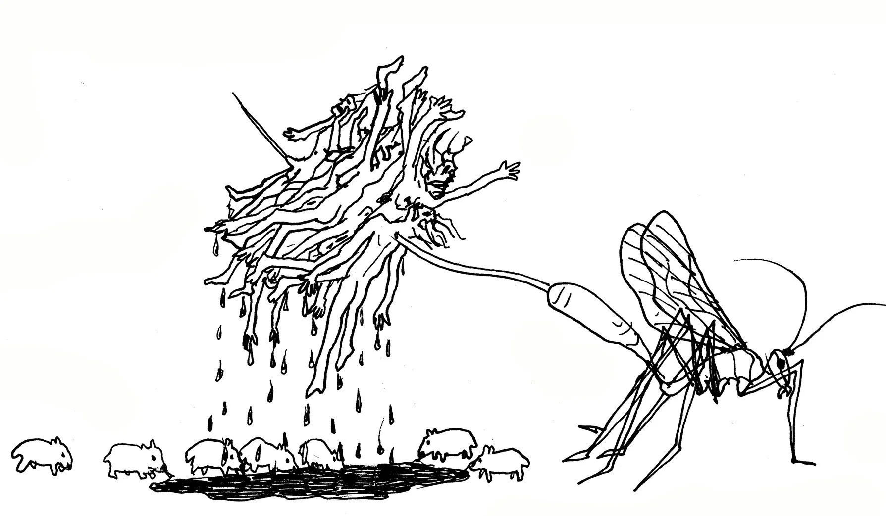 Maternal Wasp Feeds Orphaned Infant Wombats