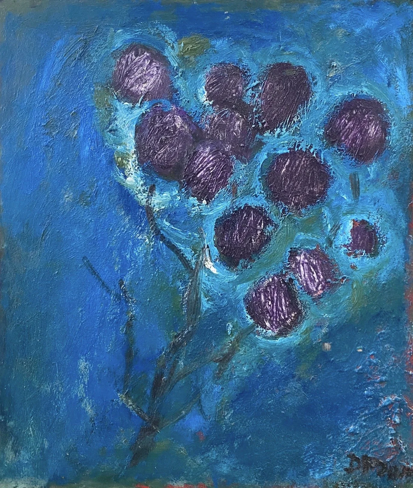 Blooms