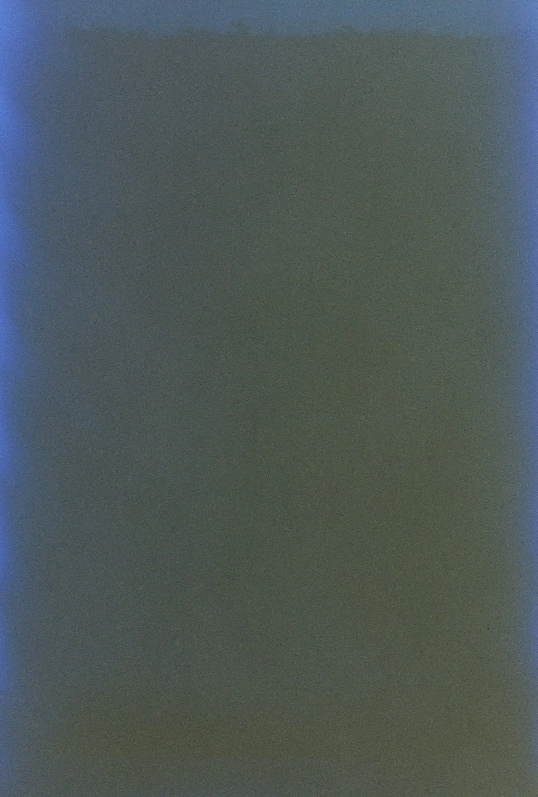 Diving, Falling by Meg Kelso