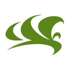 Broadway Sings America | Chorus