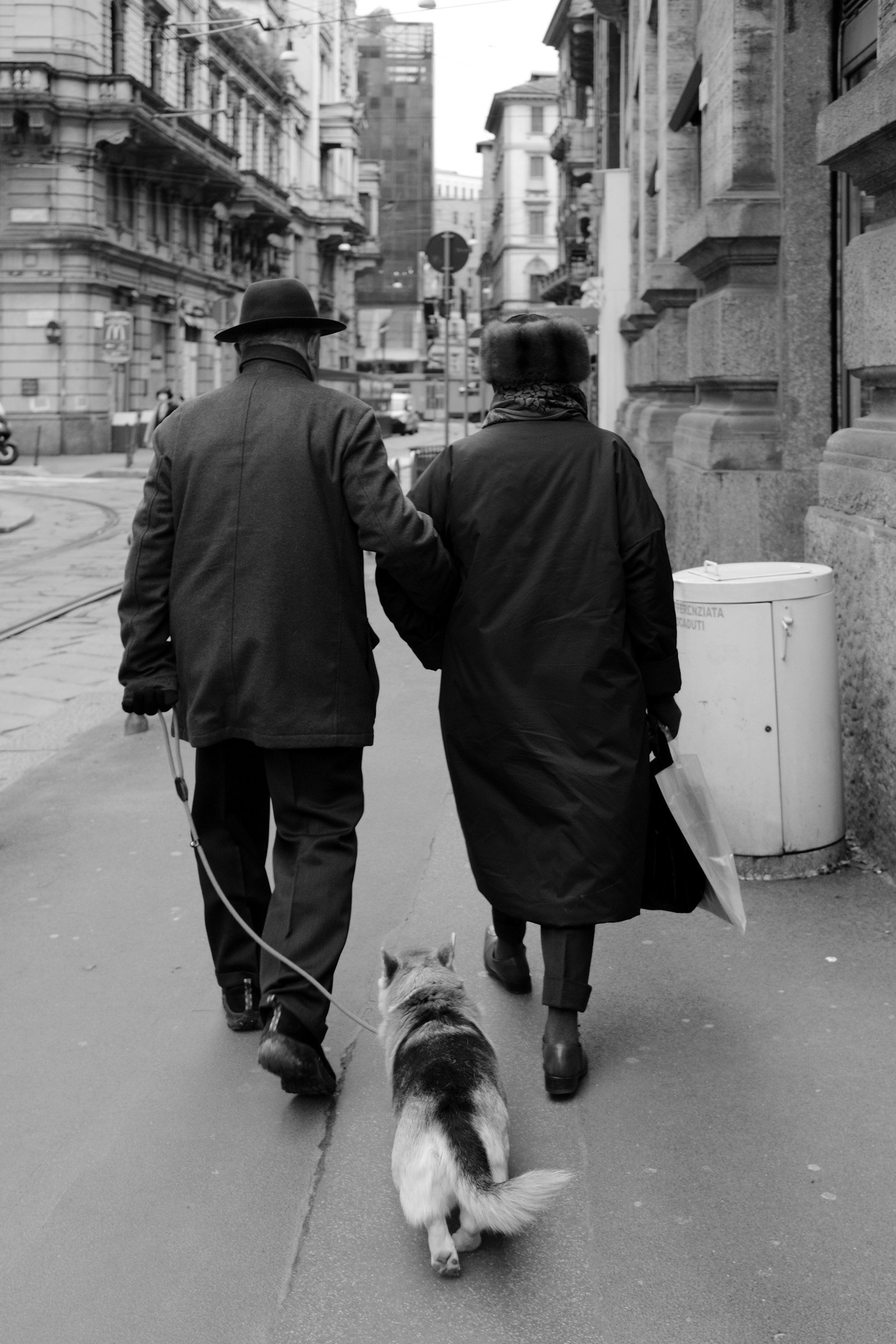 5 Simple Exercises to Keep Your Senior Pet Strong, Active, and Thriving