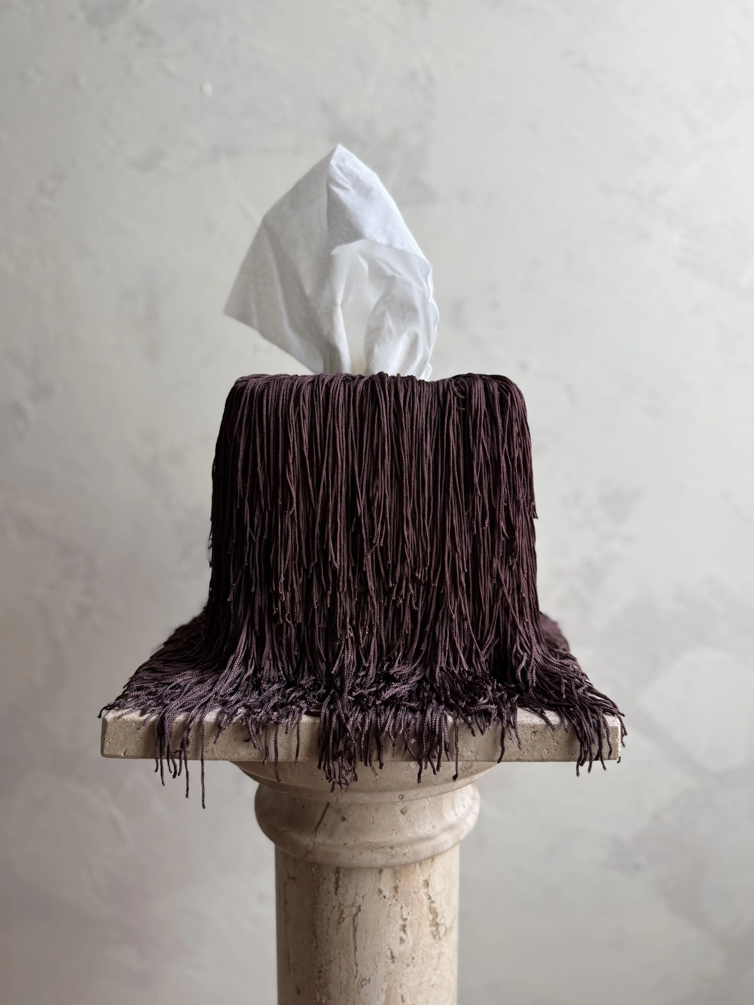Fringe Tissue Box Cover by Amber Renee Hansen