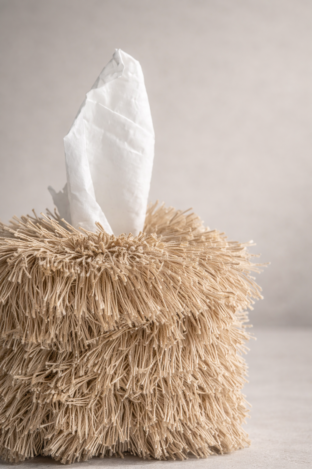 Wind-Blown Wheat fringe tissue box cover with layered wheat-toned fringe in an editorial studio setting
