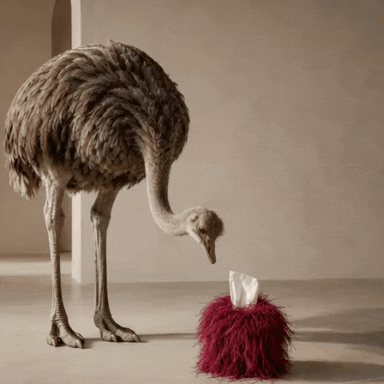 Luxury burgundy ostrich feather tissue box cover with genuine ostrich feathers.