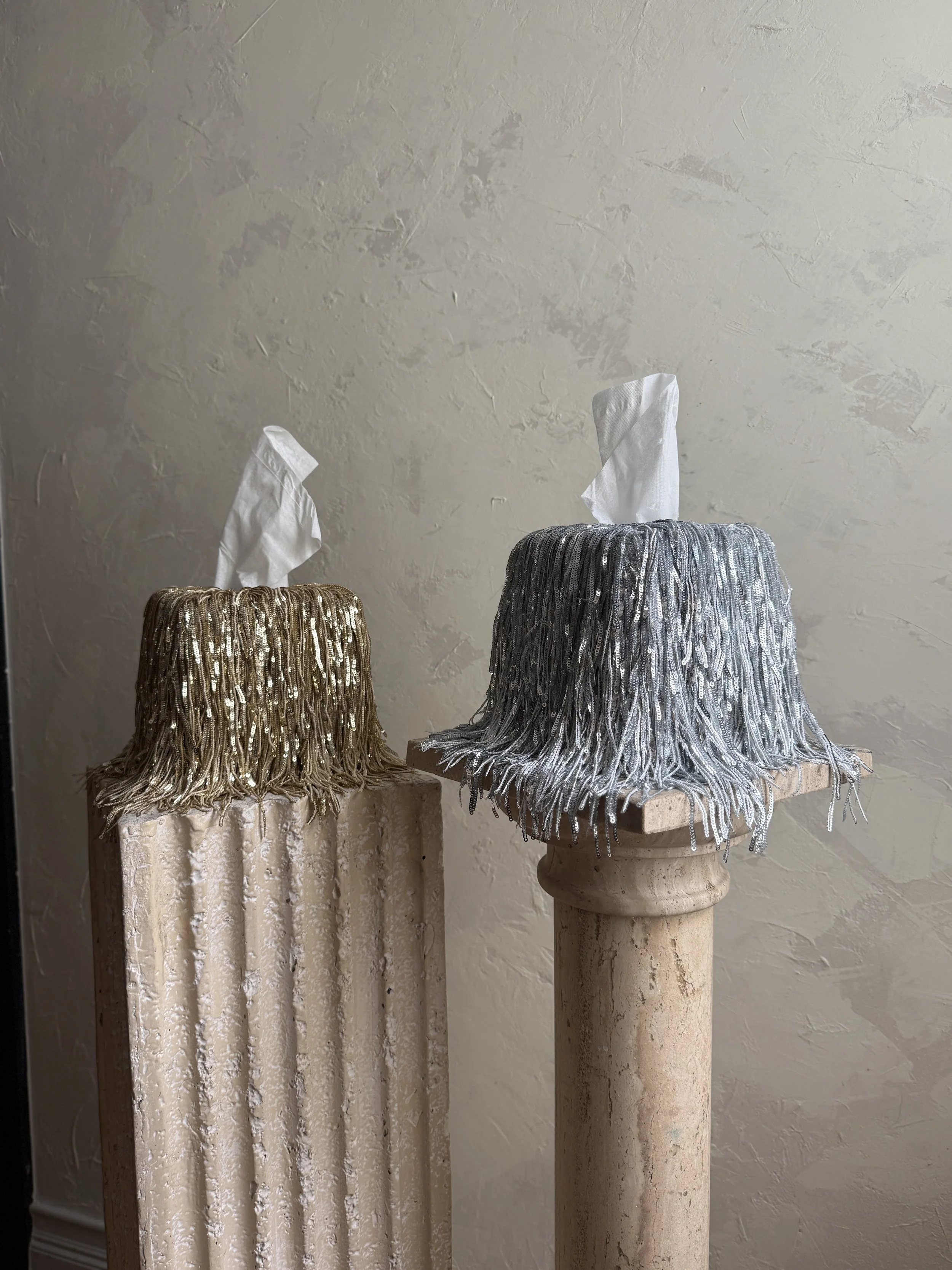 IMG_3477.jpgLuxury silver fringe tissue box cover with dramatic cascading strands illuminated in natural light, creating a high-end, editorial home décor moment.
