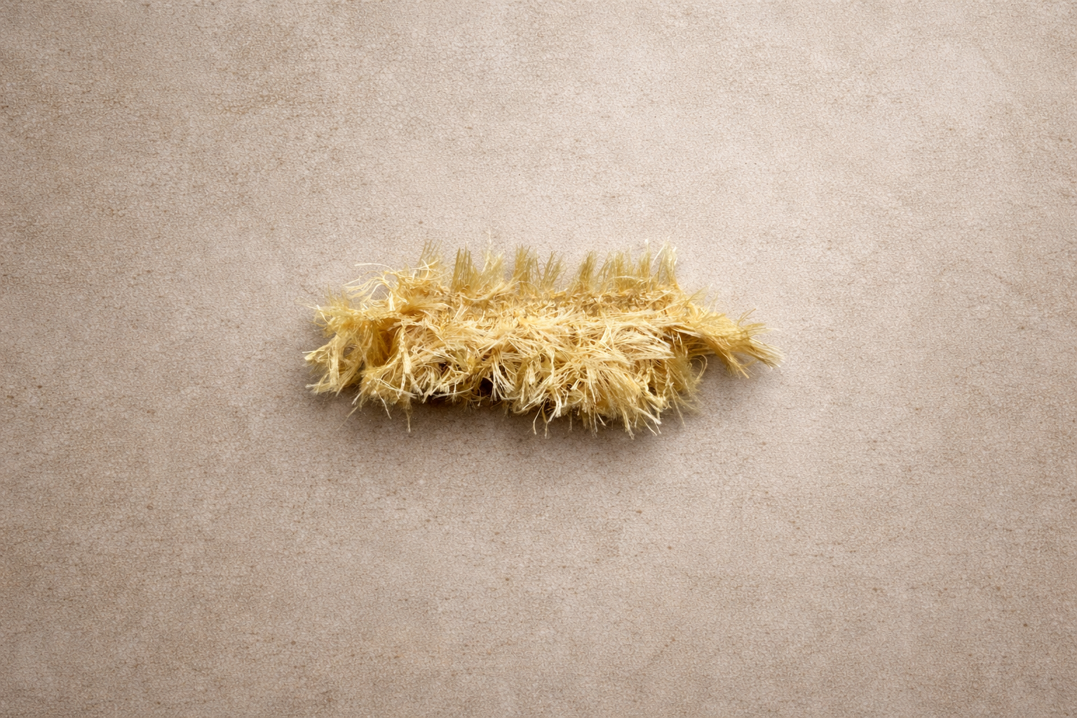 ChatGPT Image Feb 20, 2026, 10_30_56 AM.png