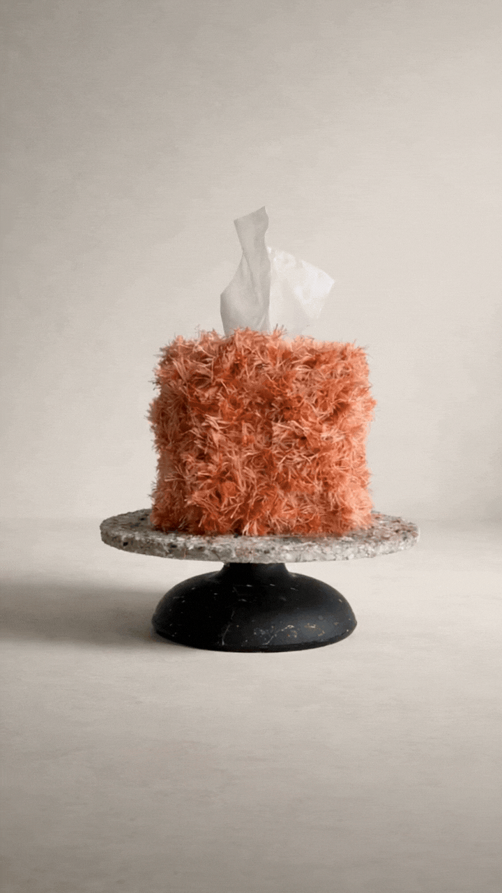 Guava Teddy fringe tissue box cover with plush textured fringe and subtle sheen photographed in a minimal editorial studio setting