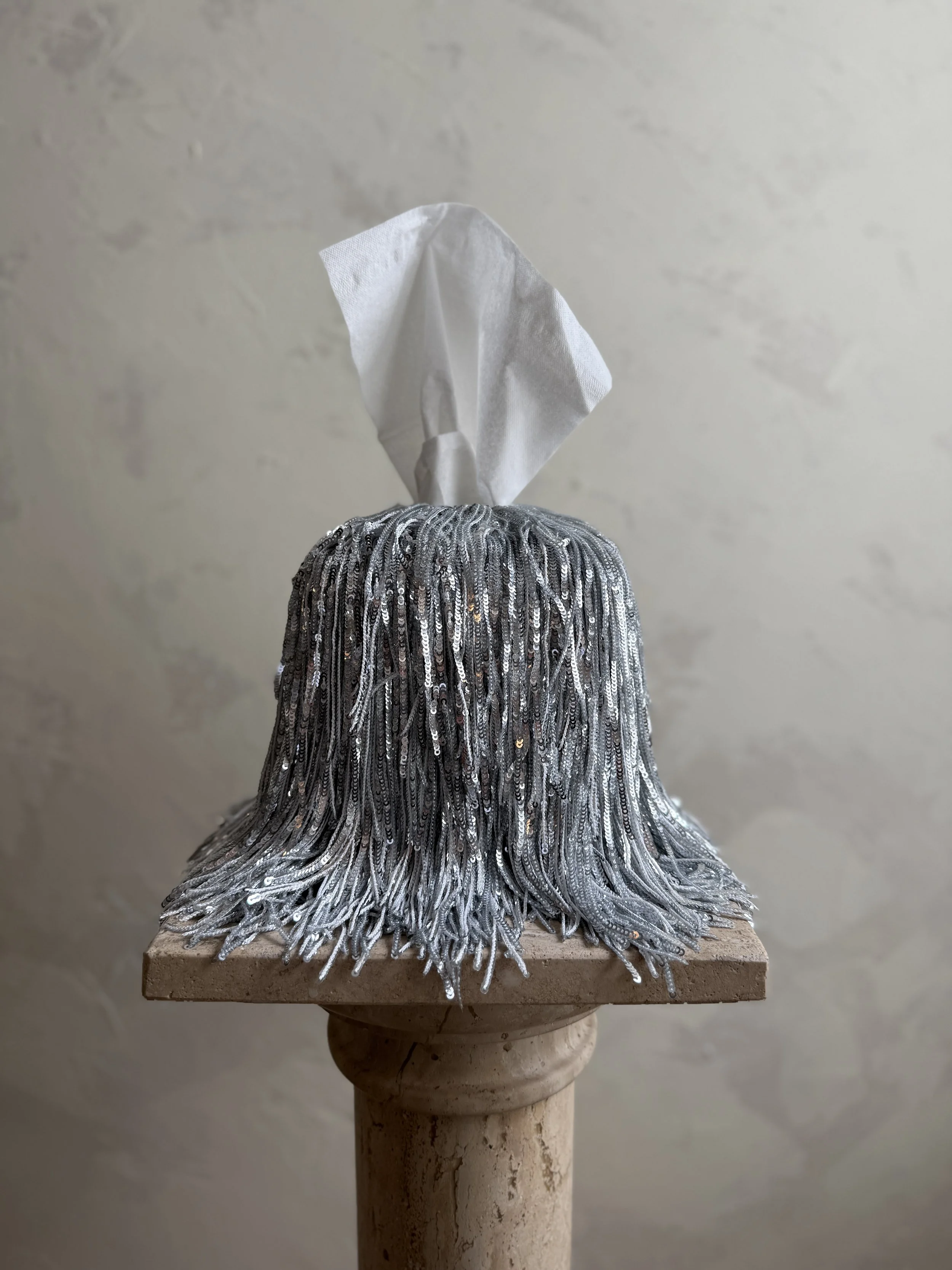 Luxury silver fringe tissue box cover with dramatic cascading strands illuminated in natural light, creating a high-end, editorial home décor moment.