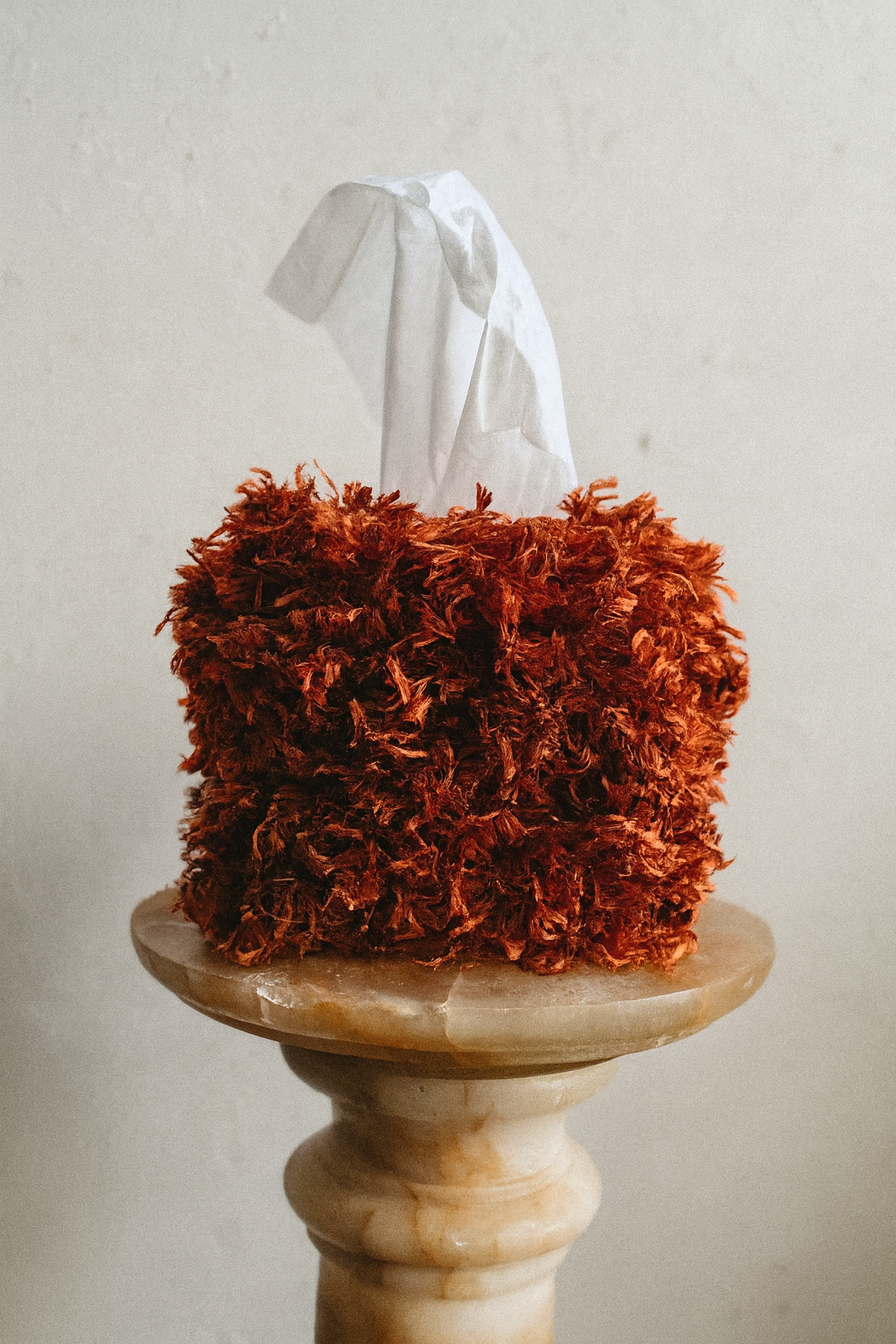 Close-up of lustrous paprika fringe texture on tissue box cover by Amber Renee Hansen.