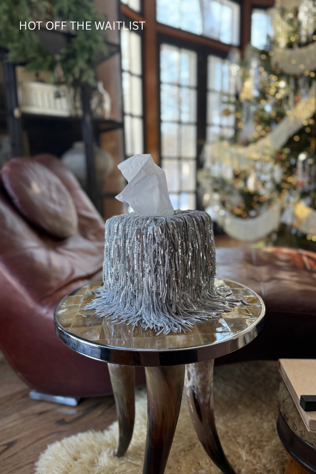 Luxury silver fringe tissue box cover with dramatic cascading strands illuminated in natural light, creating a high-end, editorial home décor moment.