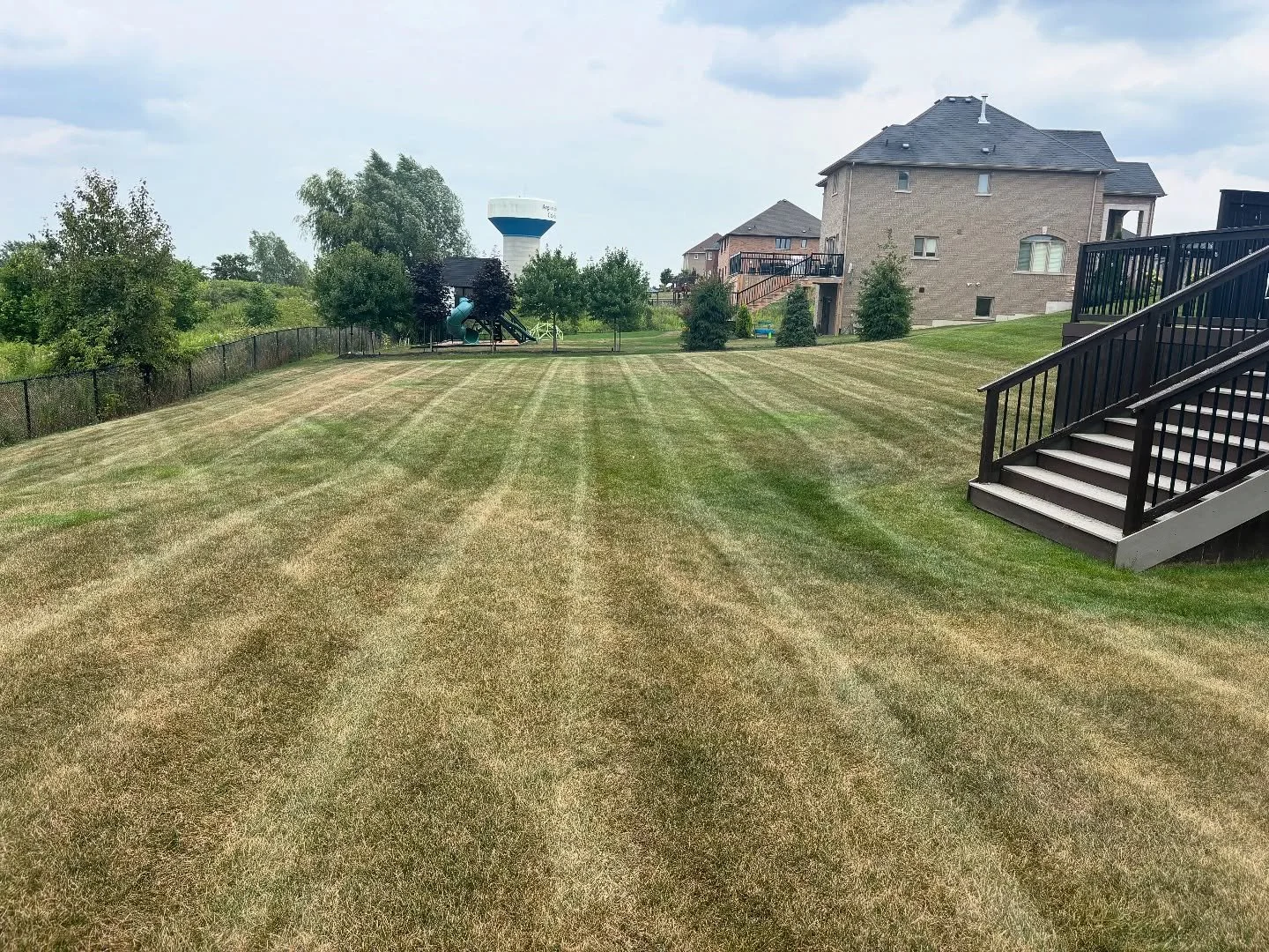Very Dry summer so far, however most of our customers have a sprinkler system installed which greatly helps keep the lawn nice and healthy, and green. #lawncare #lawn #grass #grasscutting #brampton #caledon