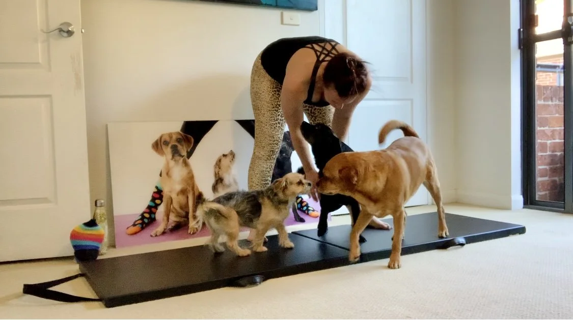 Miss Jo Carey hugging her three dogs whilst on Pilates Mat