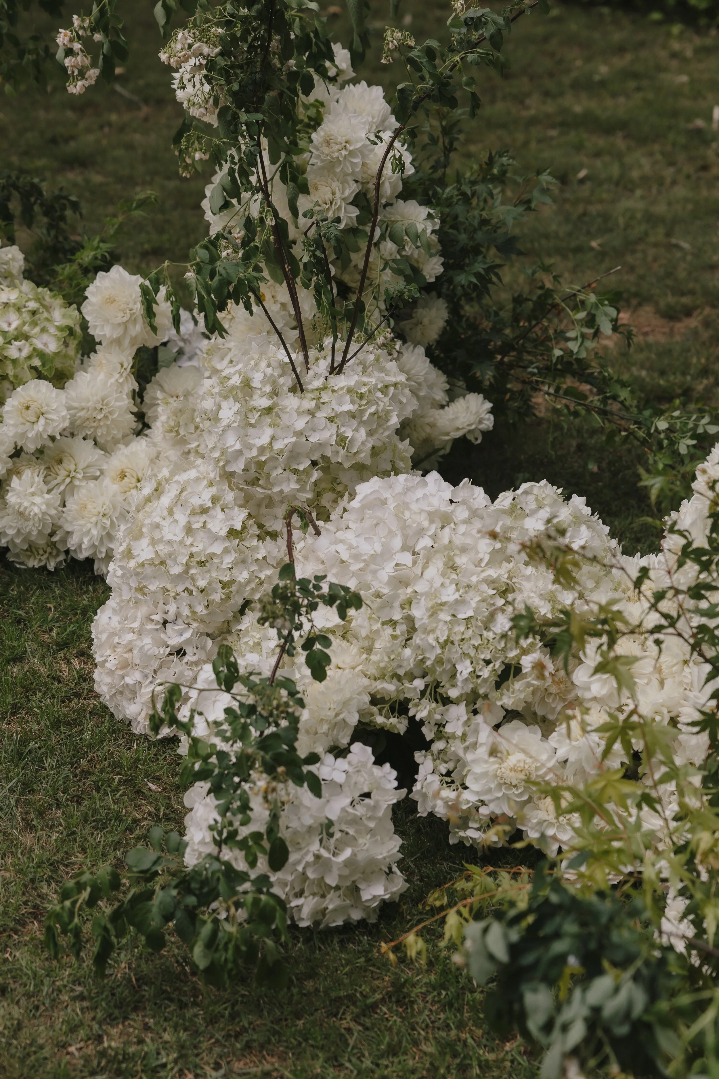 OLIVIAANDMATT-9253.jpg