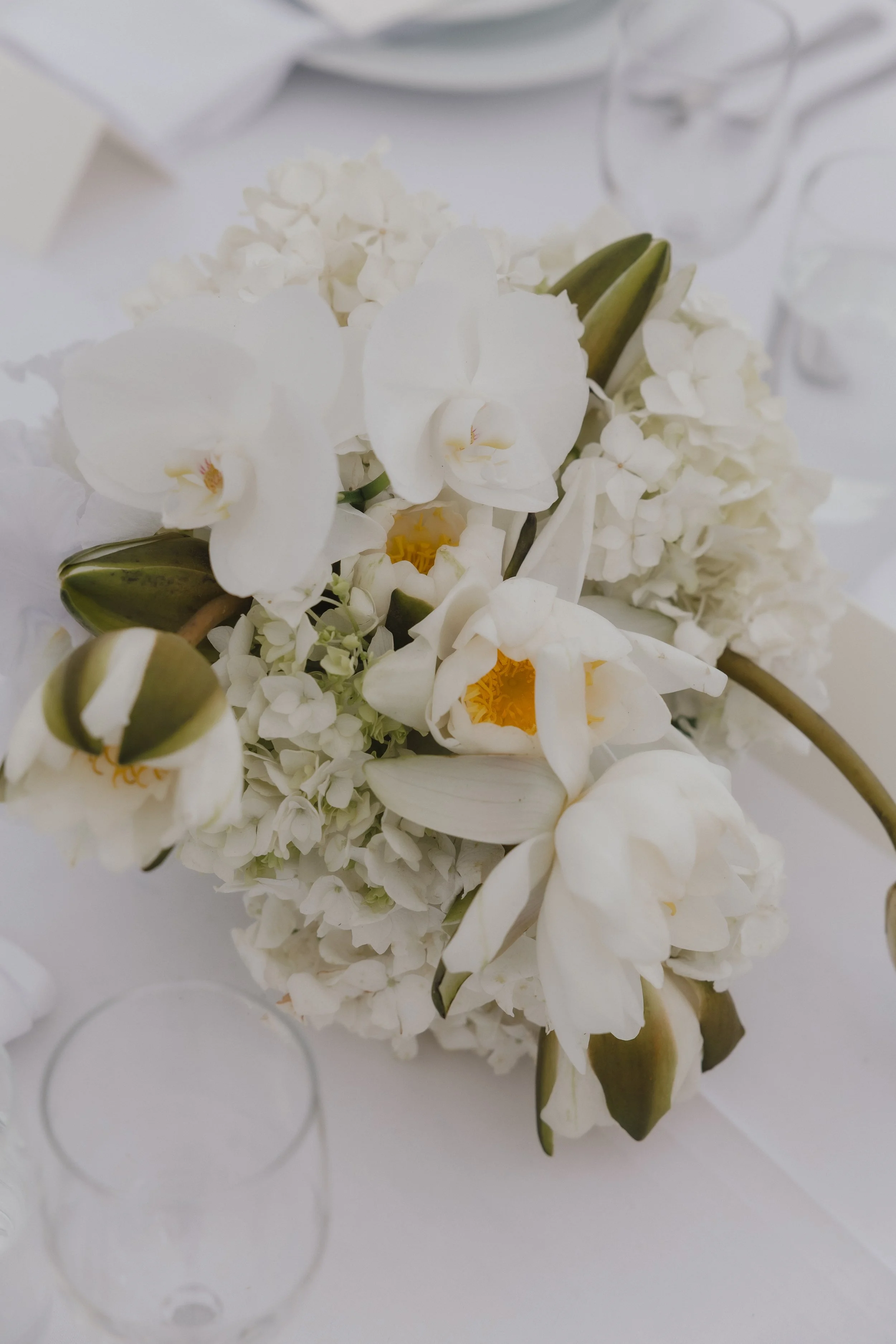 OLIVIAANDMATT-1316.jpg