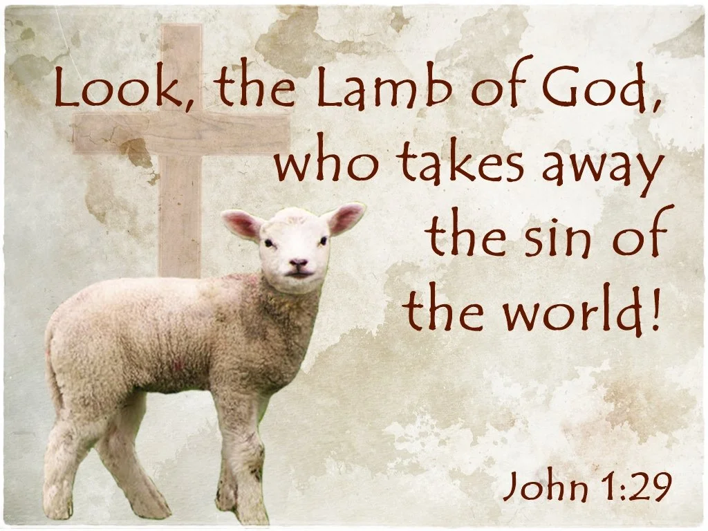 White lamb with a cross in the background.