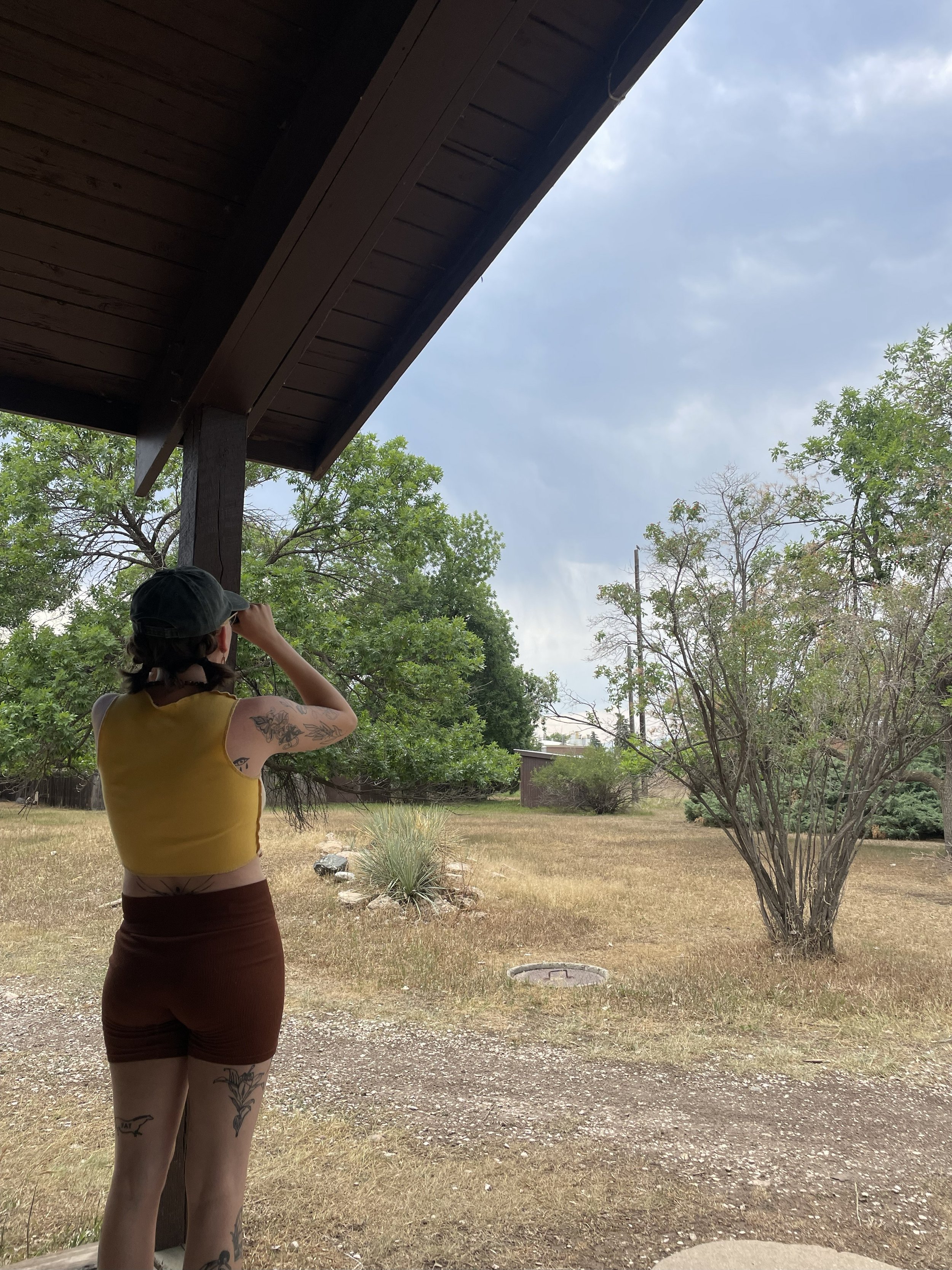 Women's Day Trip: Birding