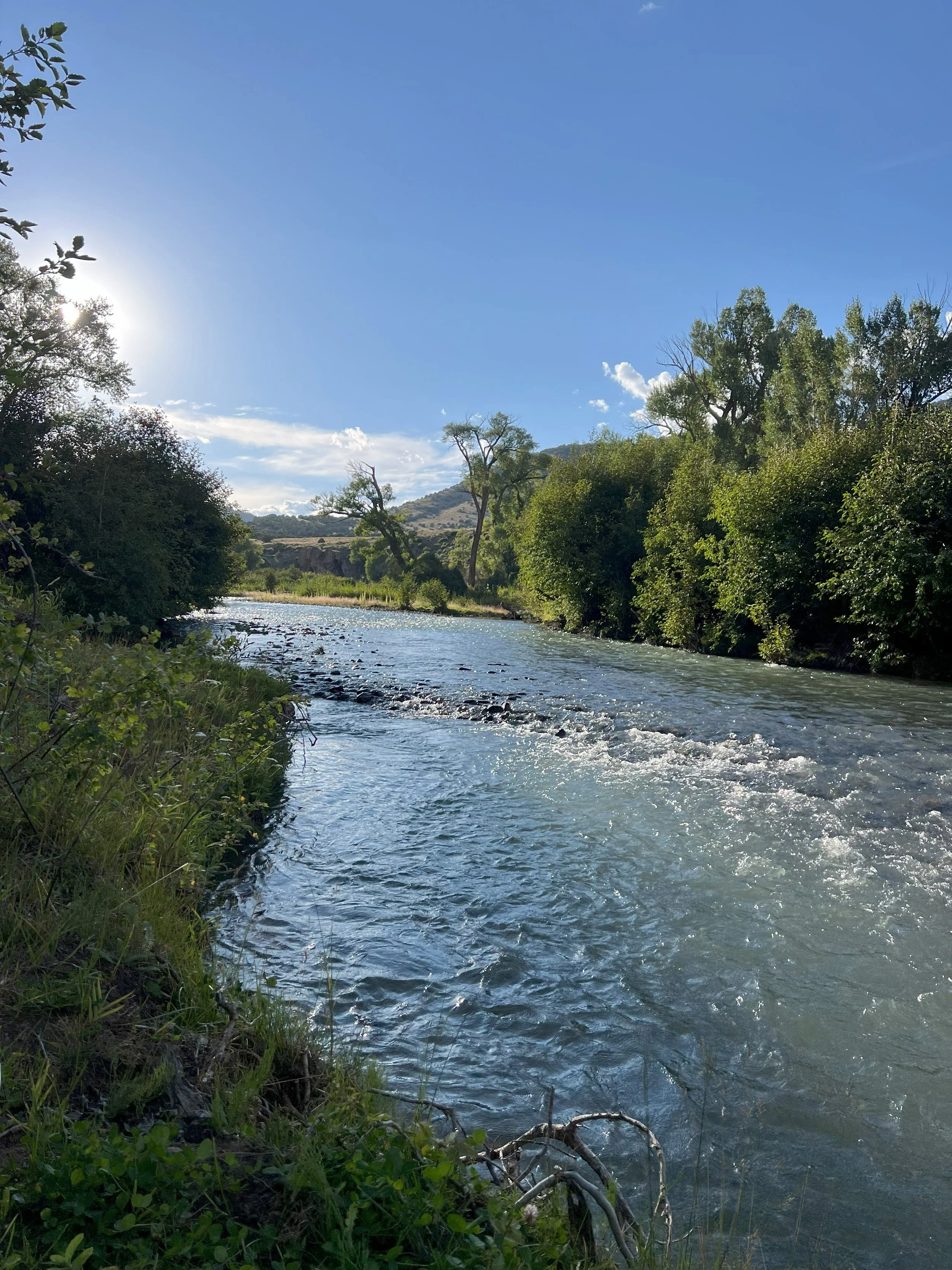A serene river flowing through a lush green landscape under a clear blue sky with some clouds, illuminated by bright sunlight.