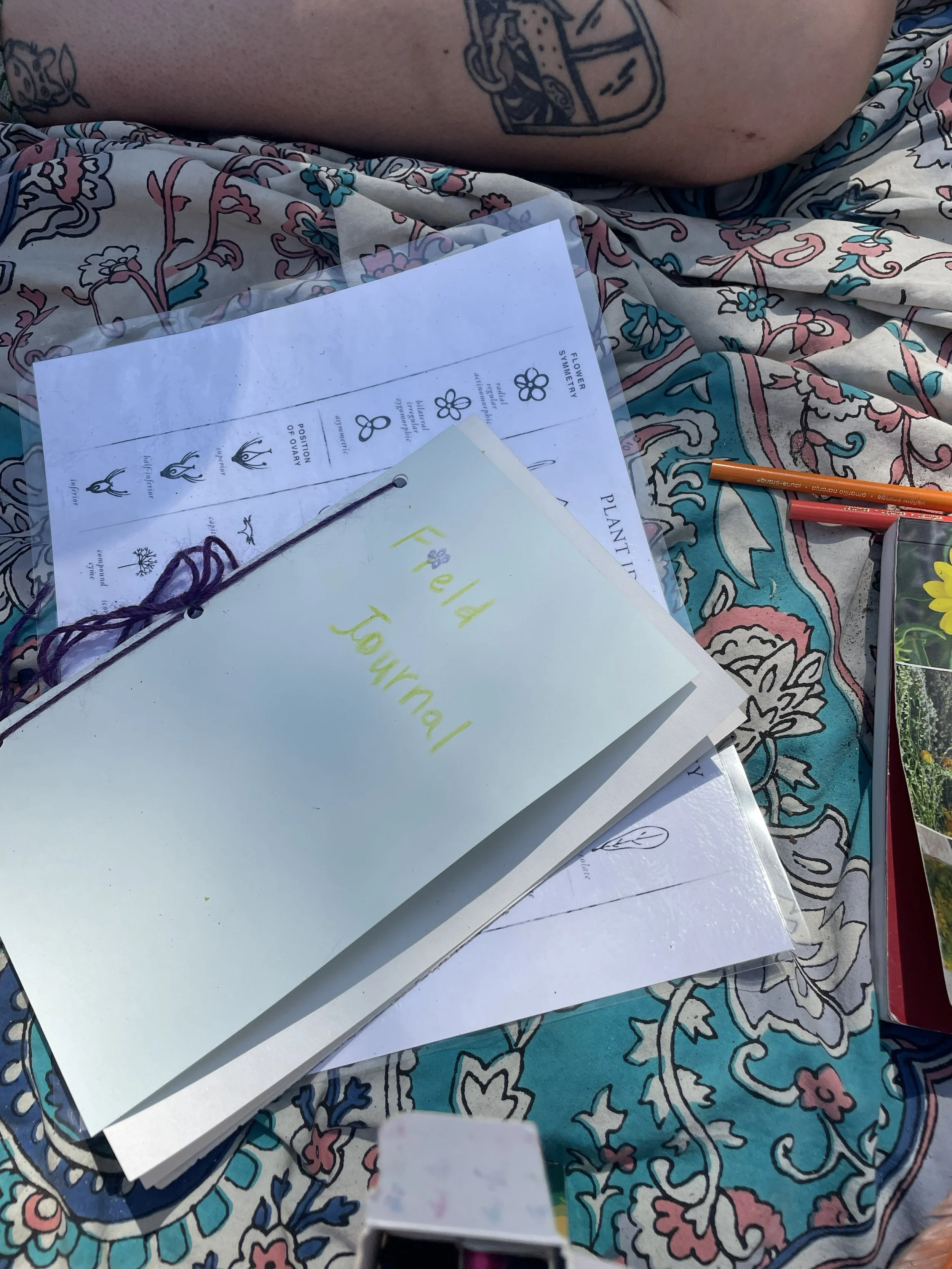 Women's Day Trip: Plant Identification