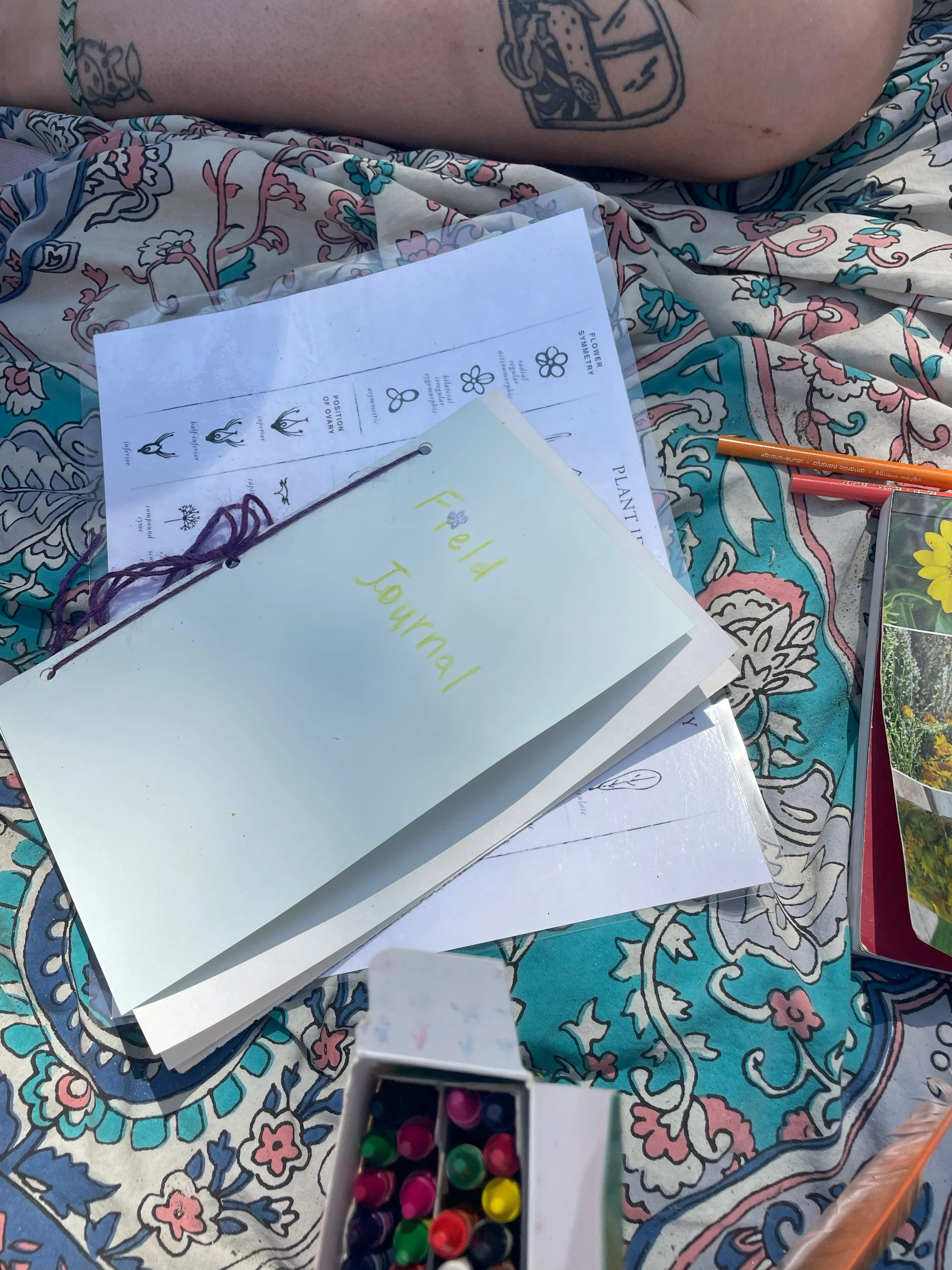 A floral-themed gardening book with the title 'Field Journal' on the cover, surrounded by gardening notes, seed packets, colored pencils, and a box of colorful seed markers, resting on a colorful, paisley-patterned fabric.