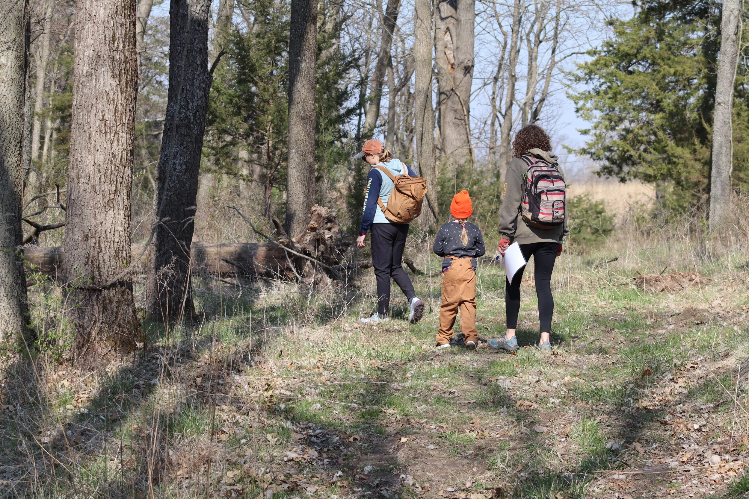 Three people, two women and a young girl, hiking through a wooded forest area with tall trees and green grass.