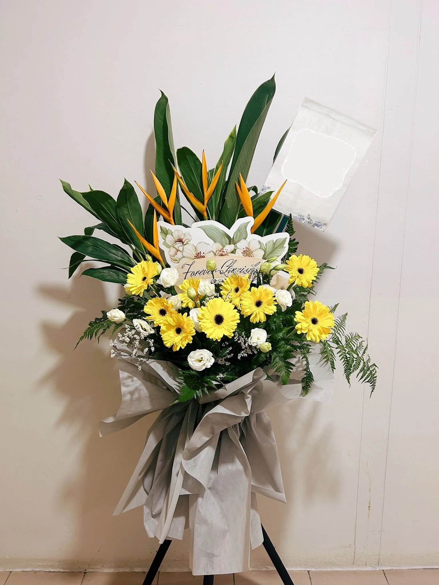 WhatsApp Image 2025-11-06 at 8.25.39 PM.jpeg