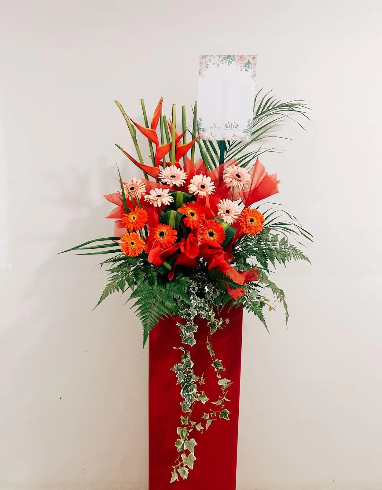 WhatsApp Image 2025-07-04 at 1.09.28 AM (2).jpeg