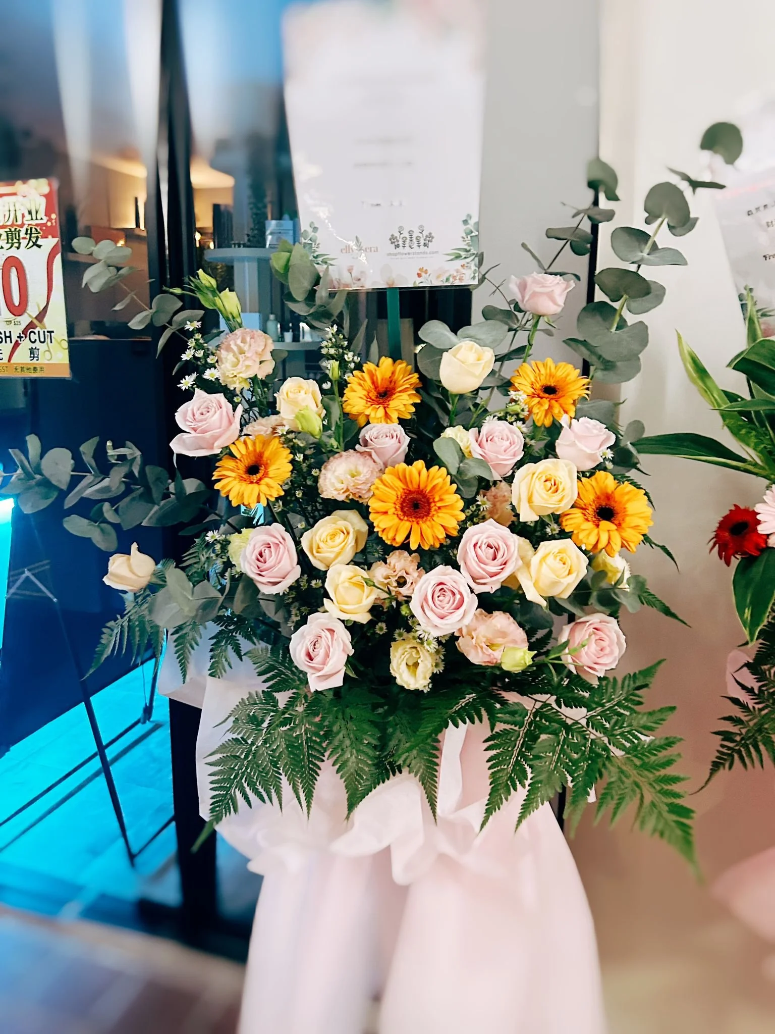 WhatsApp Image 2025-10-13 at 4.56.27 PM.jpeg