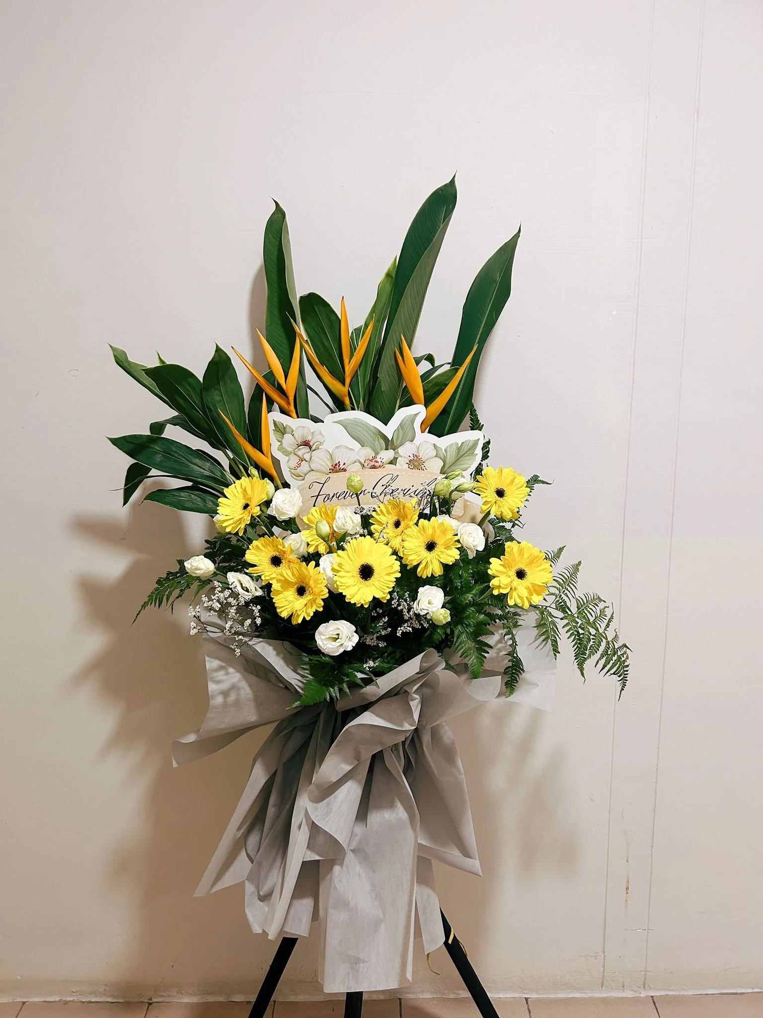 WhatsApp Image 2025-11-06 at 8.25.38 PM.jpeg