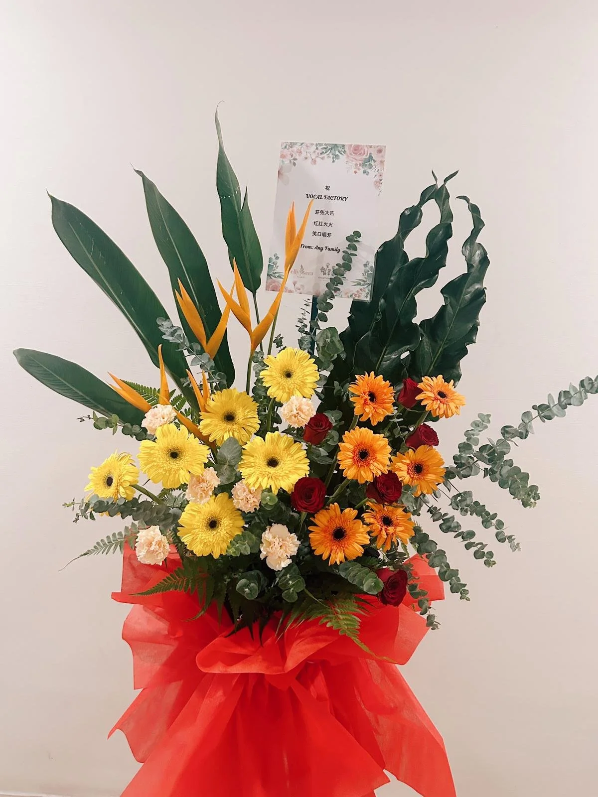 WhatsApp Image 2025-10-13 at 4.56.29 PM.jpeg