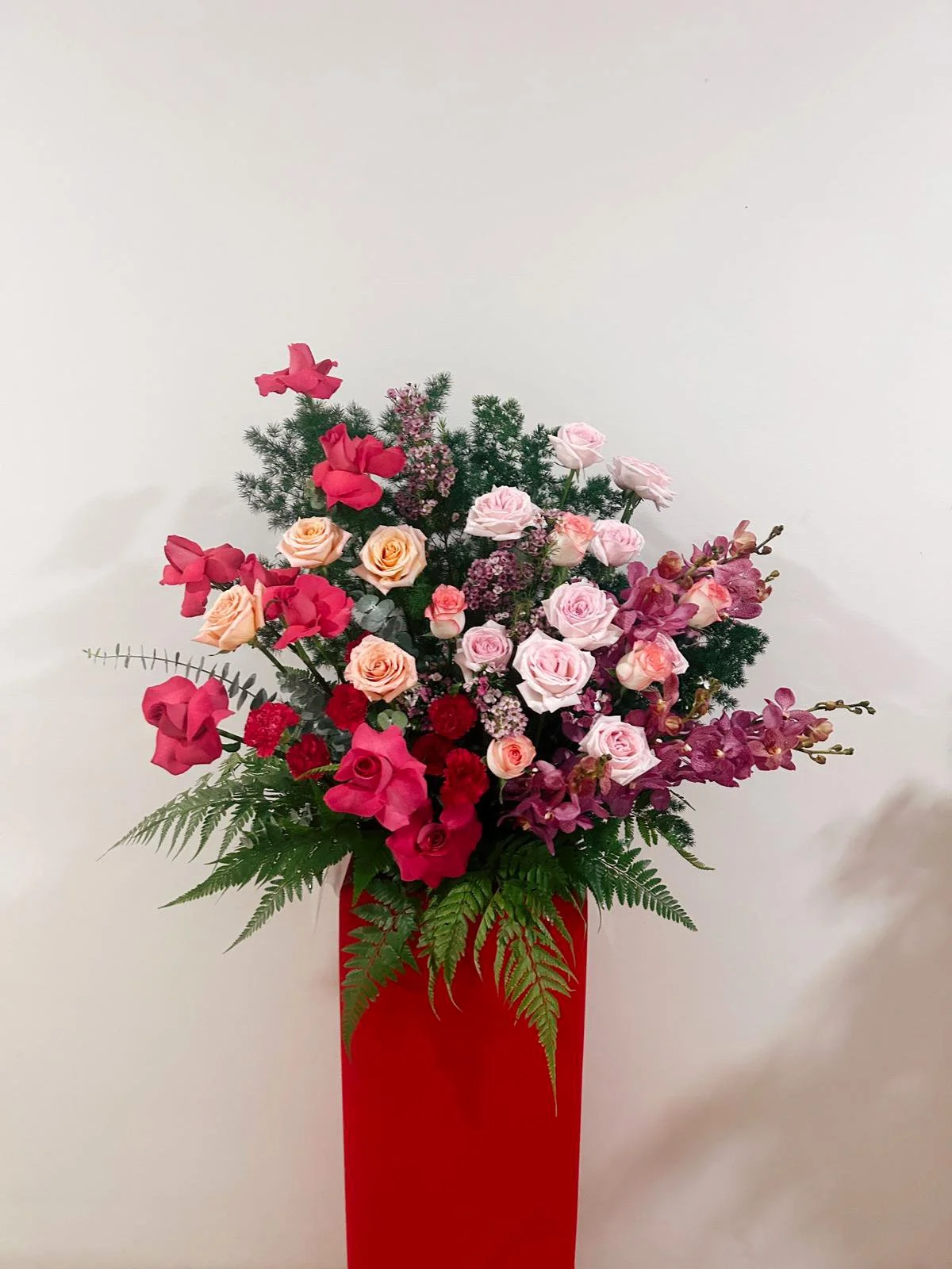 WhatsApp Image 2025-10-22 at 4.40.17 PM.jpeg