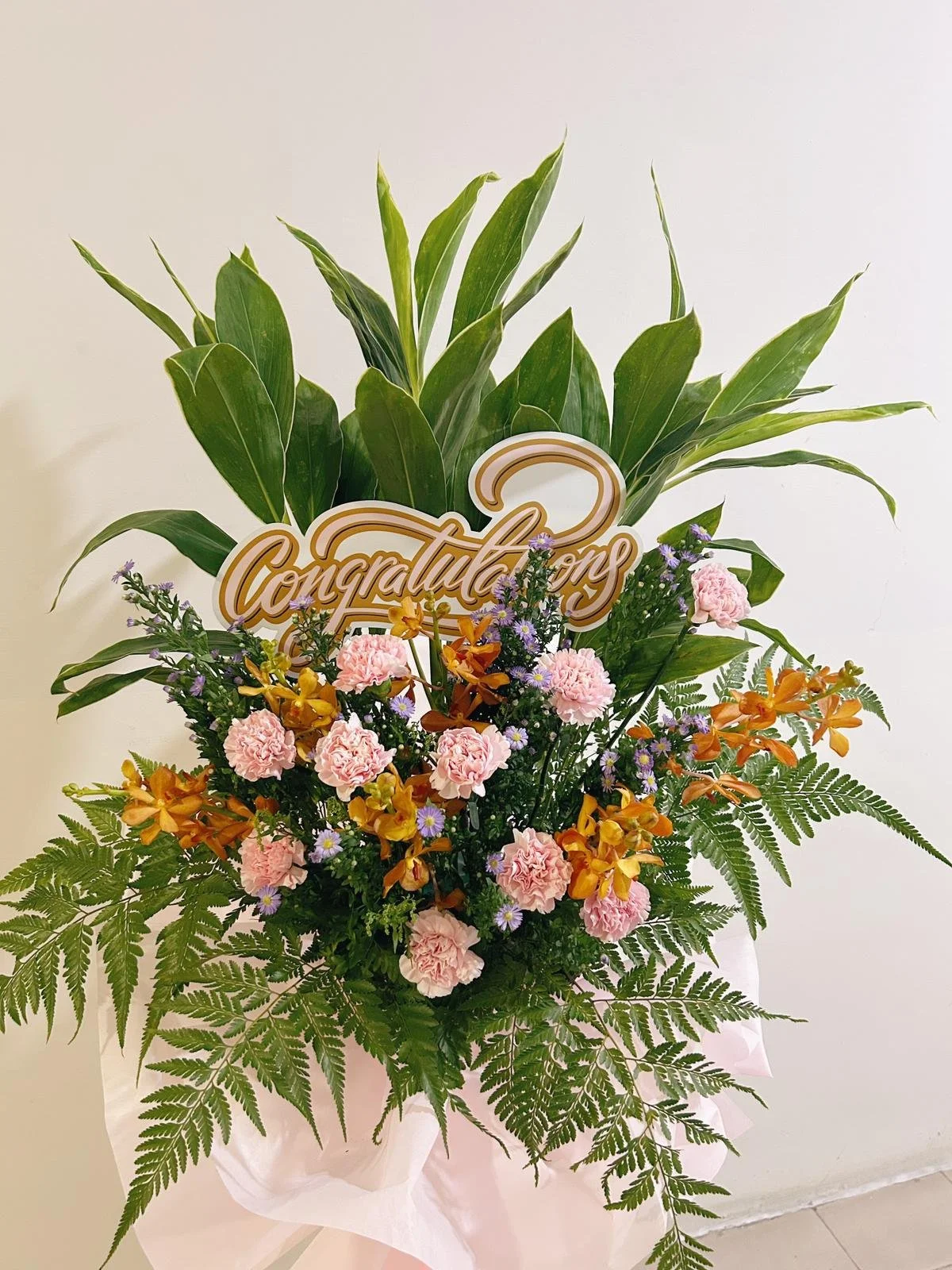 WhatsApp Image 2025-10-27 at 3.16.41 PM.jpeg