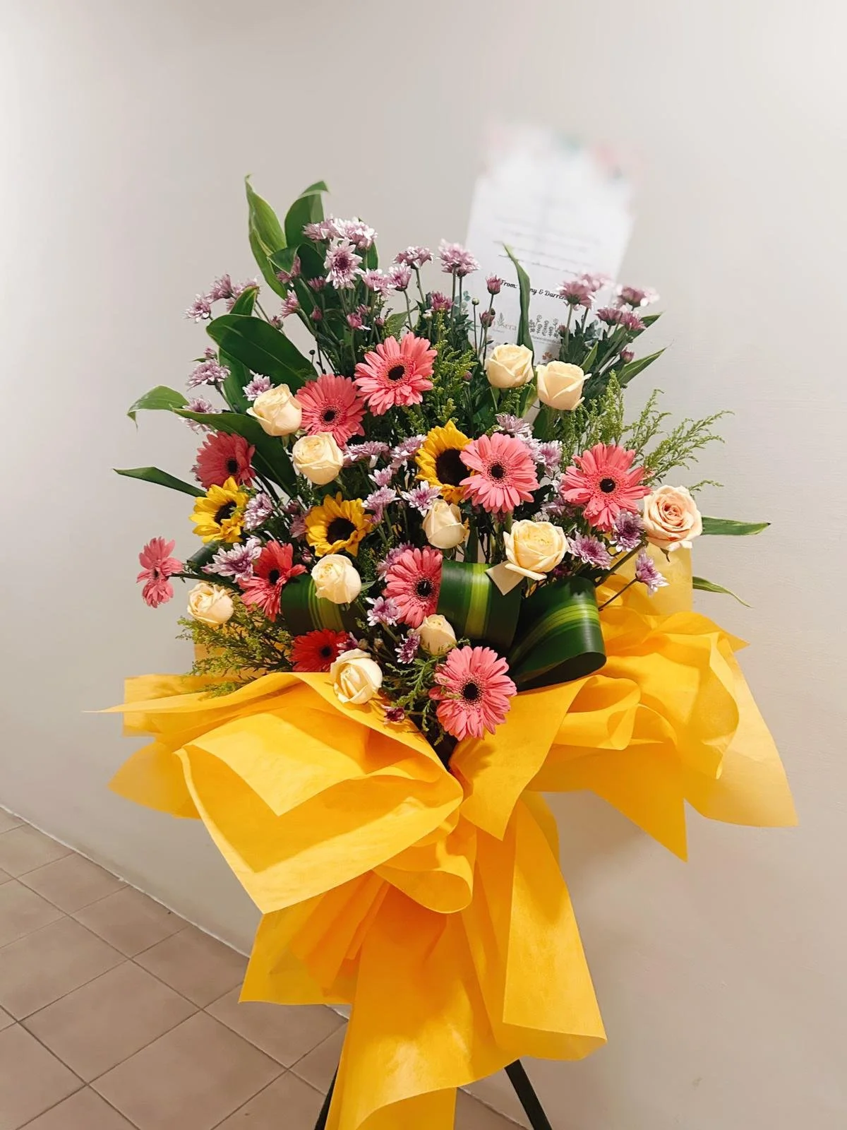 WhatsApp Image 2025-08-09 at 1.59.22 PM (1).jpeg