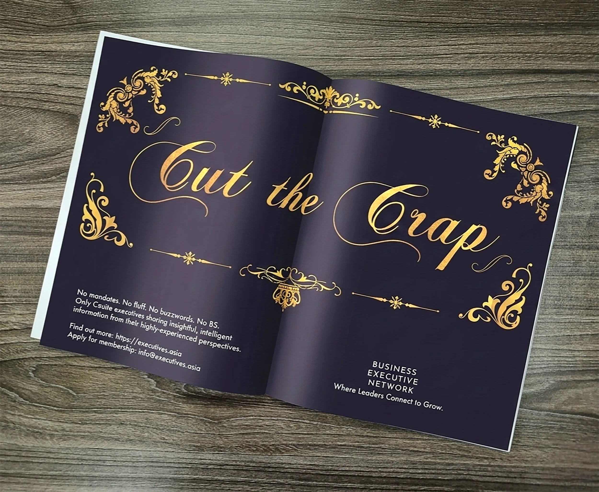 NO-NONSENSE IDEAS FOR A NO-NONSENSE BUSINESS NETWORK