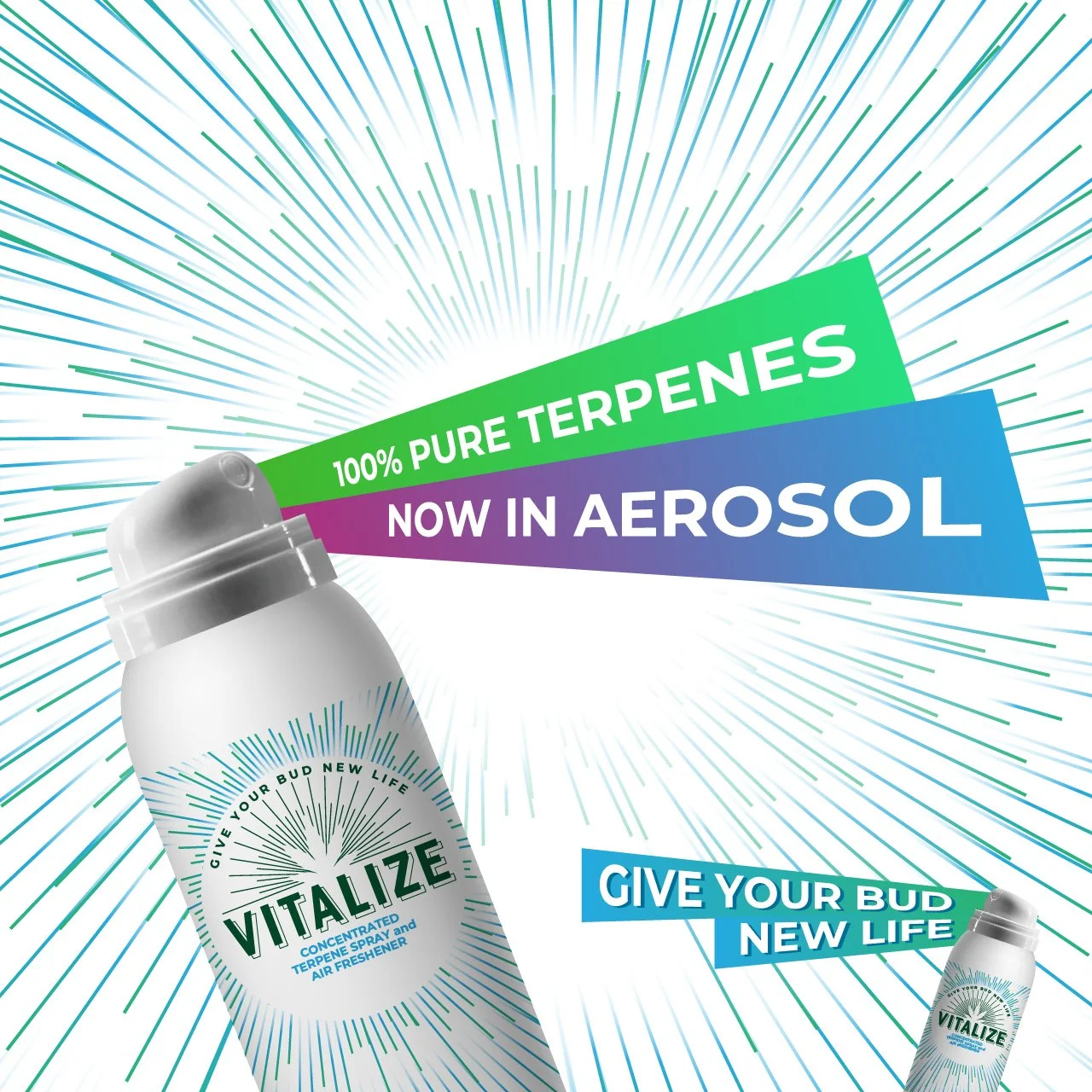 THE SCIENCE OF TERPENES AVAILABLE IN AEROSOL