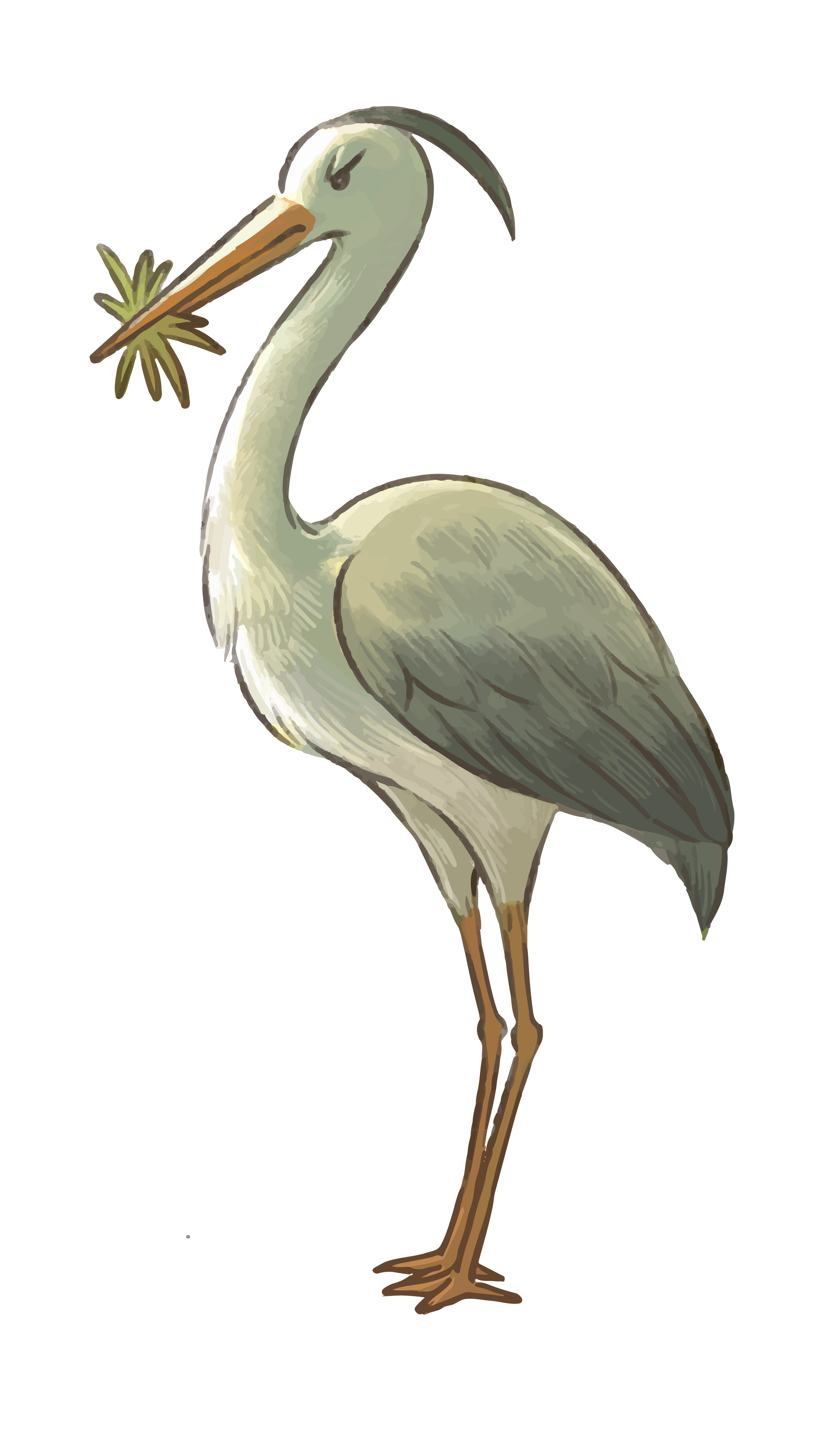 Illustration of a heron holding a small branch in its beak, standing on one leg, with a neutral background.